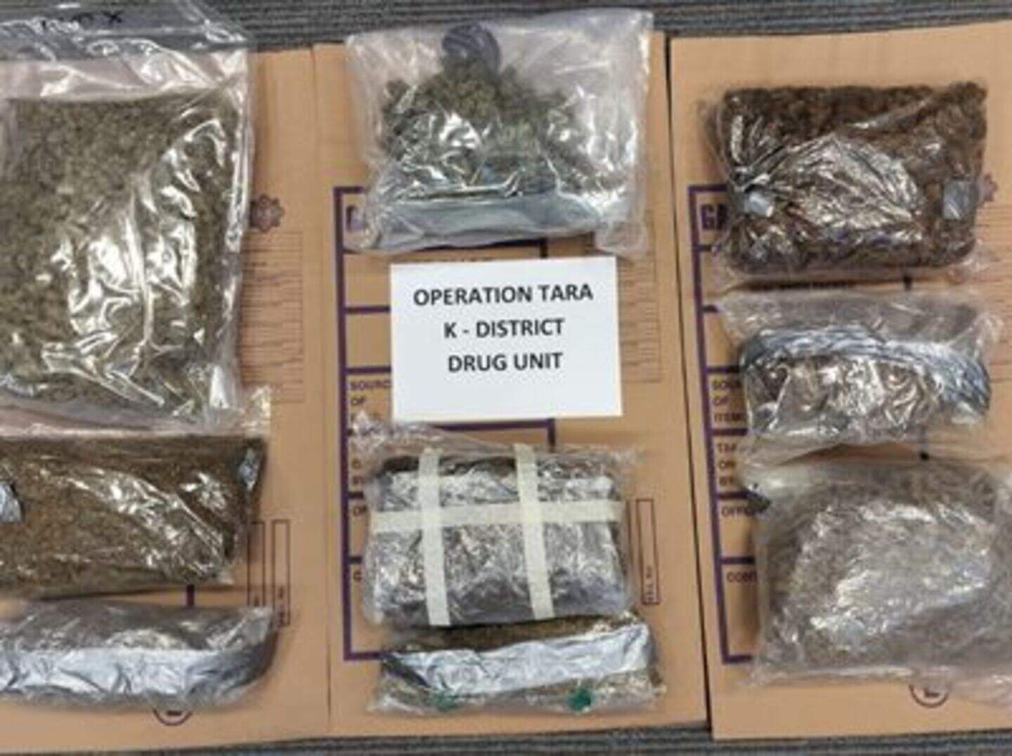 Man (50s) arrested as gardai seize €100k of cannabis and replica ...