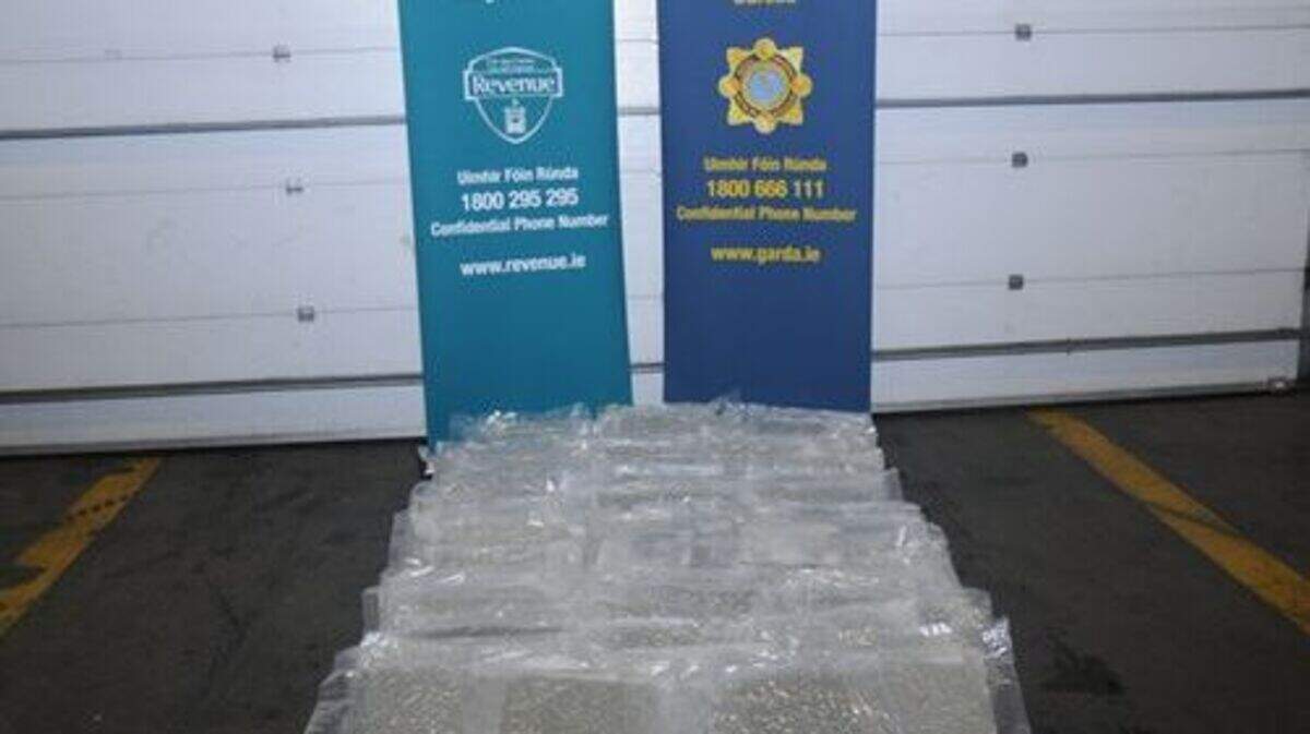 Man arrested as €830k of herbal cannabis seized in raid in Rathcoole ...