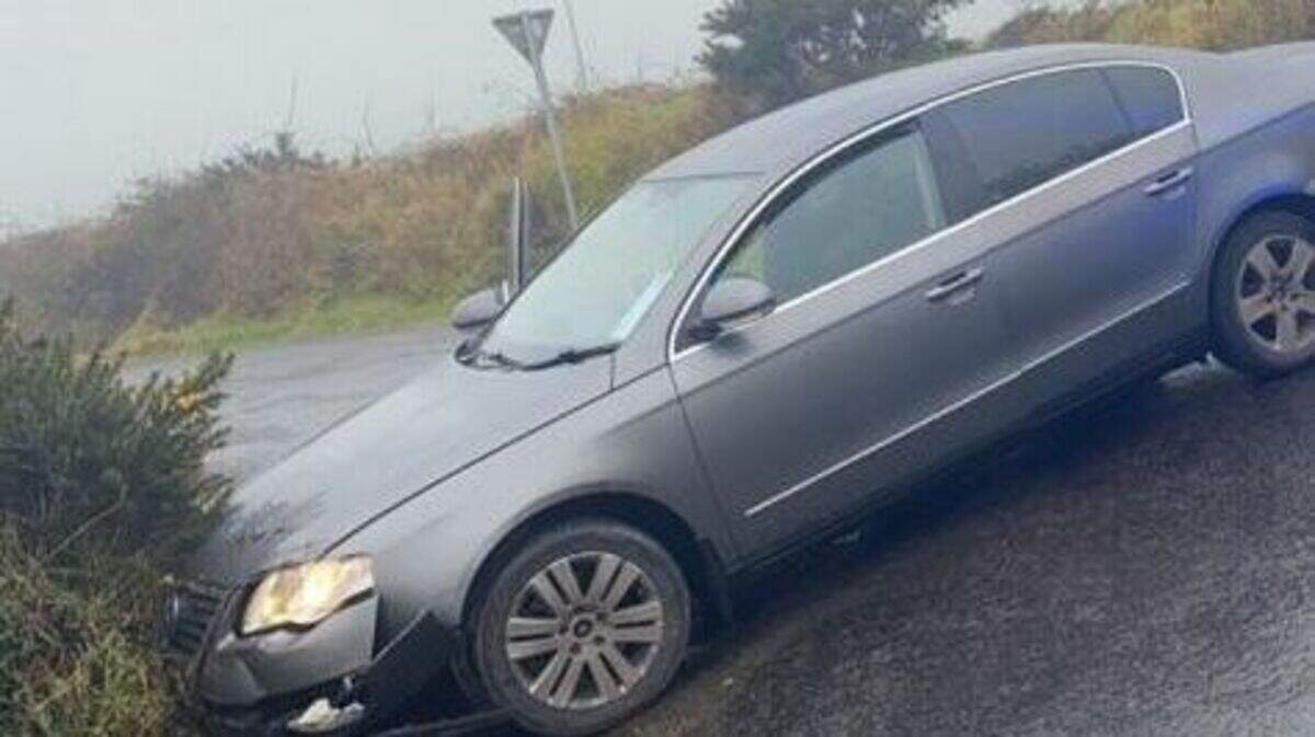 Driver who failed to stop for gardai busted with cocaine and cannabis ...