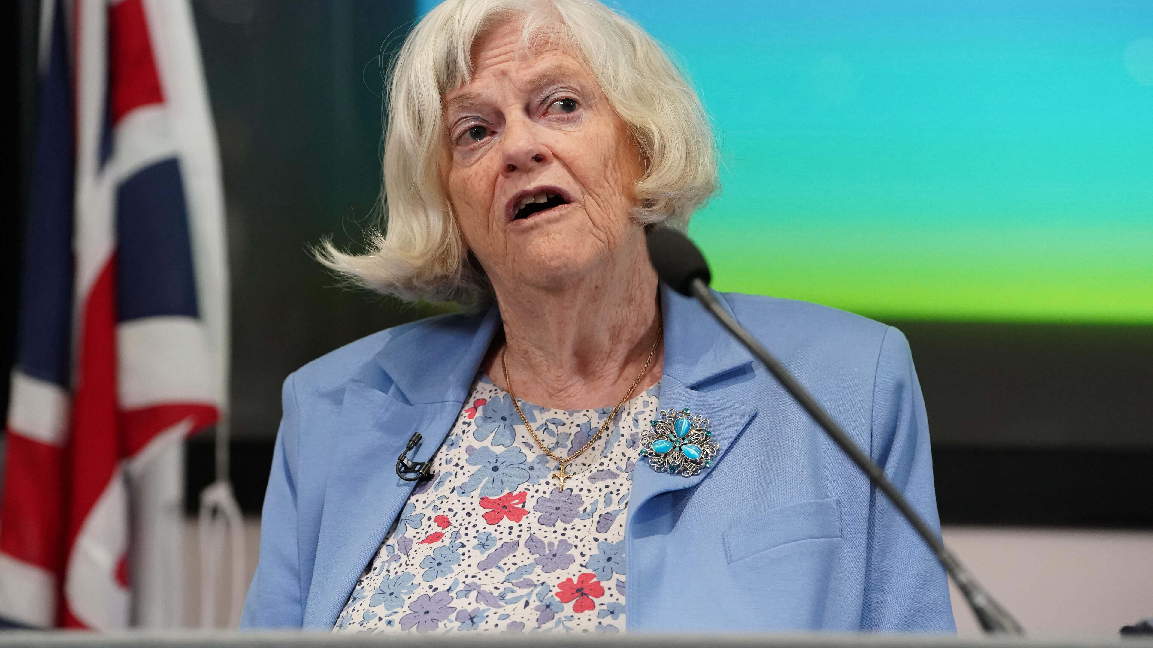 Cops probe whether Ann Widdecombe murder suspect firebombed Nigel Farage’s home