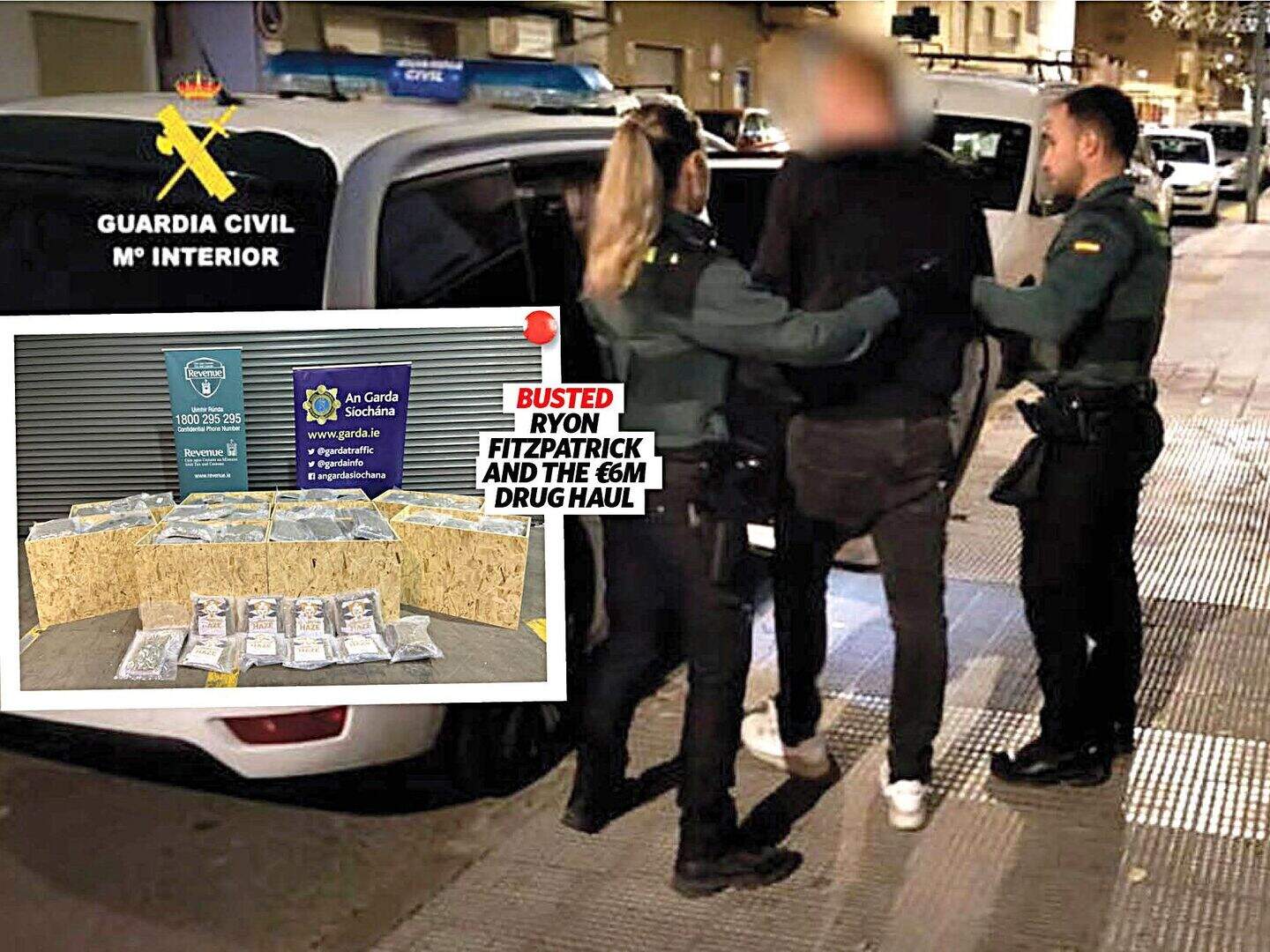 Posh ex Blackrock College student Ryon Fitzpatrick arrested over €6m ...