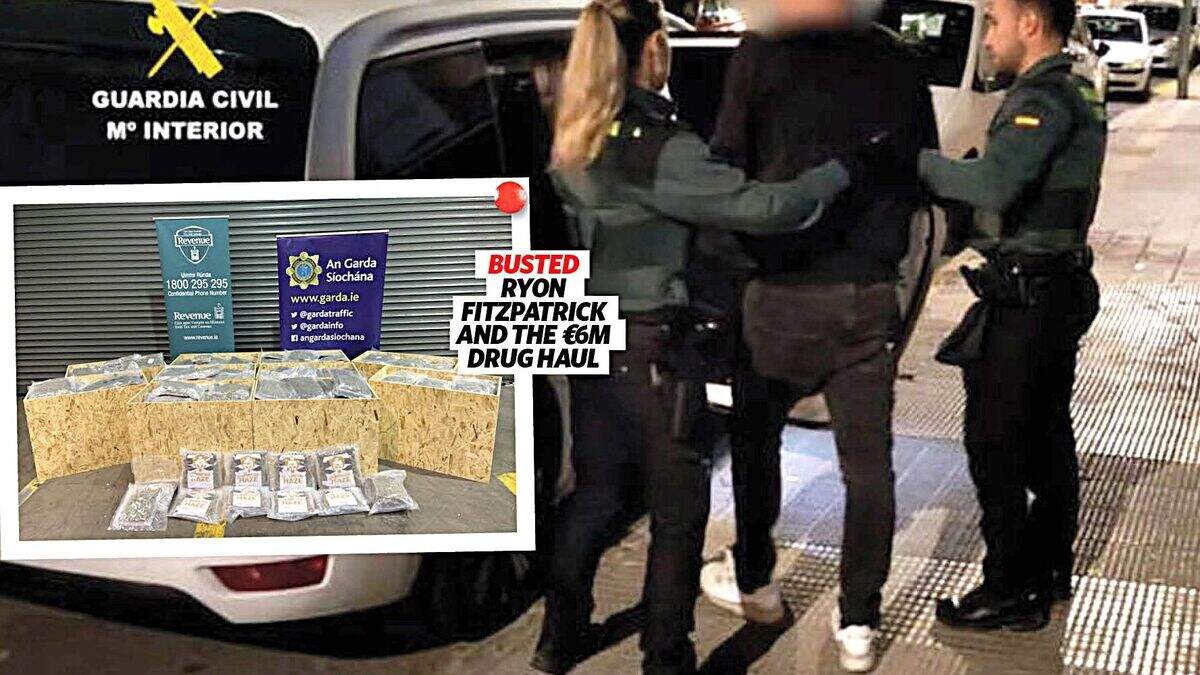 Posh ex Blackrock College student Ryon Fitzpatrick arrested over €6m ...