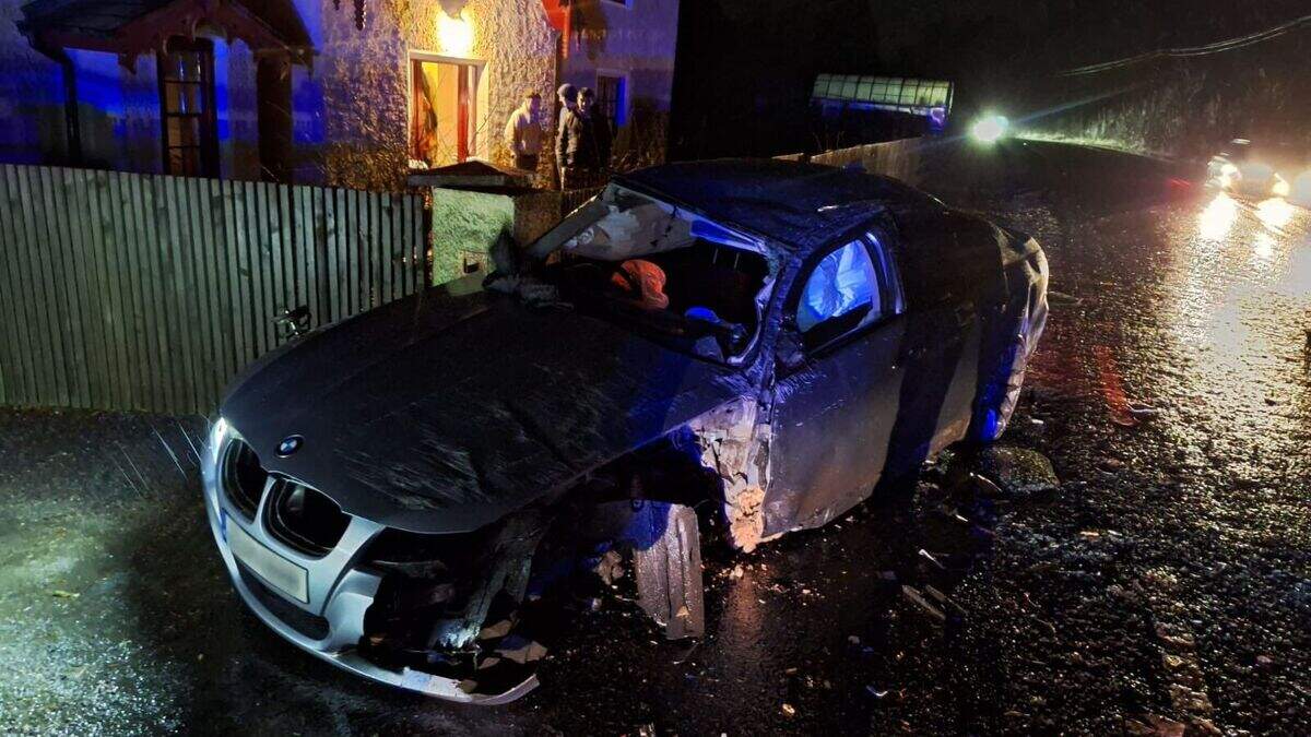 Gardai share shocking photo after drunk driver hits wall and tree in ...