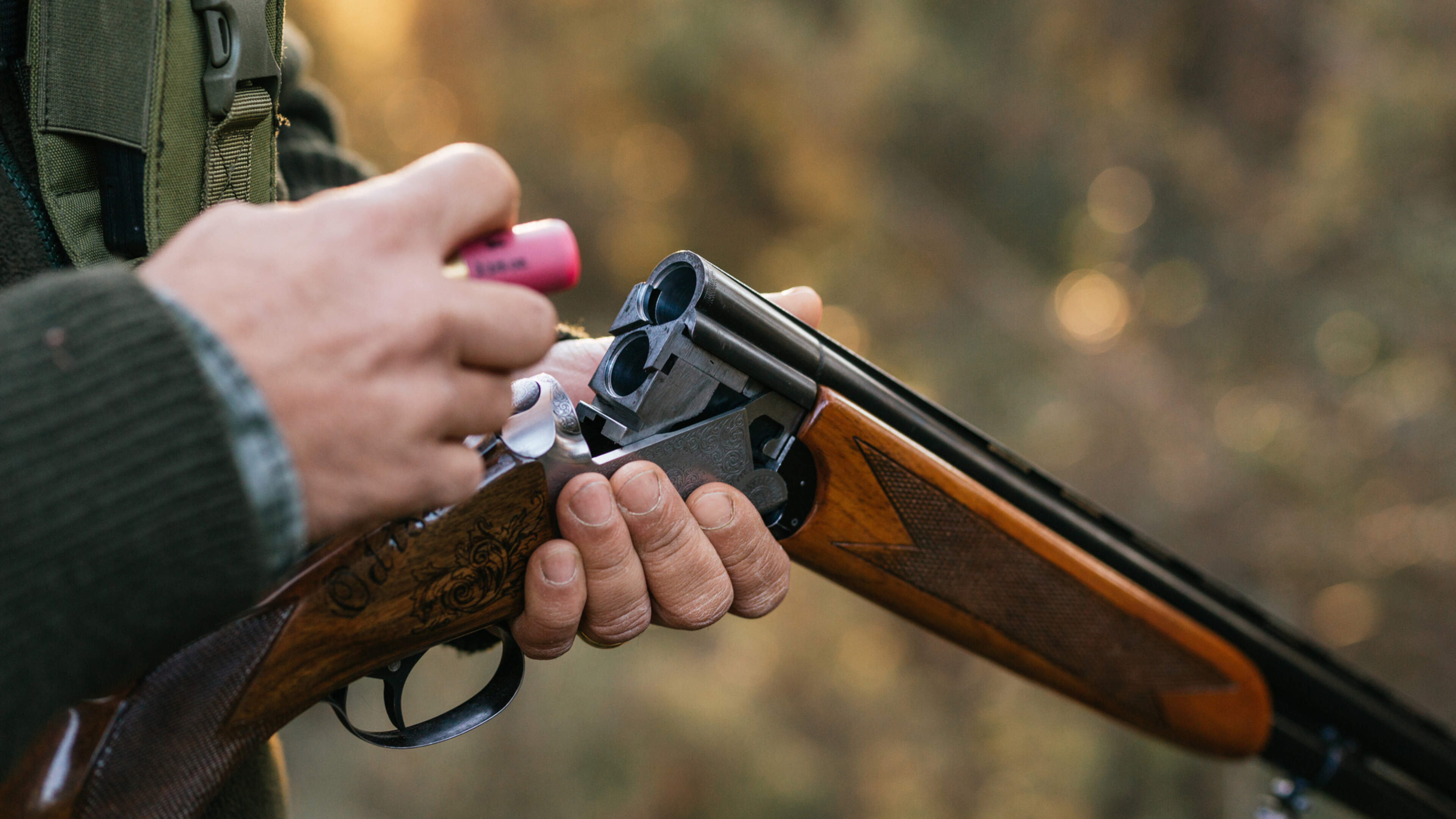 Elderly hunter (81) shot man meditating in back garden of his south Dublin home