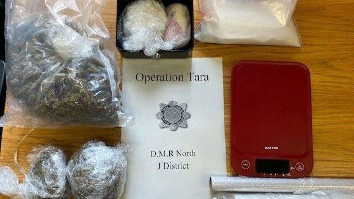 Man arrested after €50k worth of cocaine and cannabis seized in raid on ...