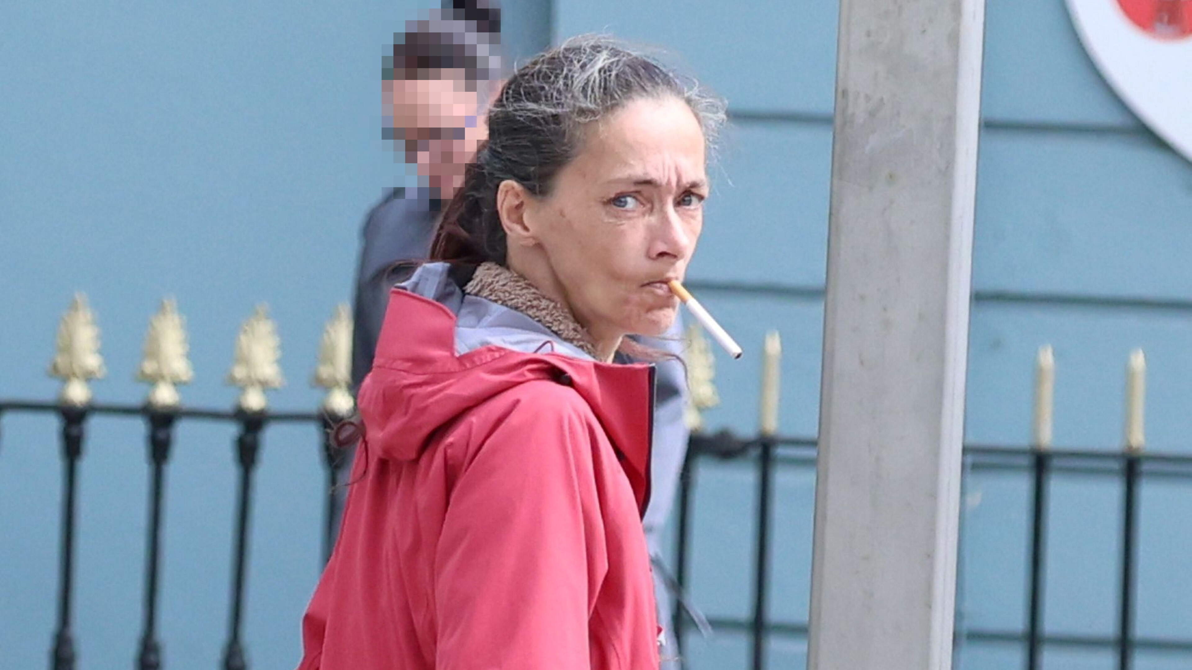 Dog owner had two pitbulls unmuzzled and running loose in Dublin flats stairwell