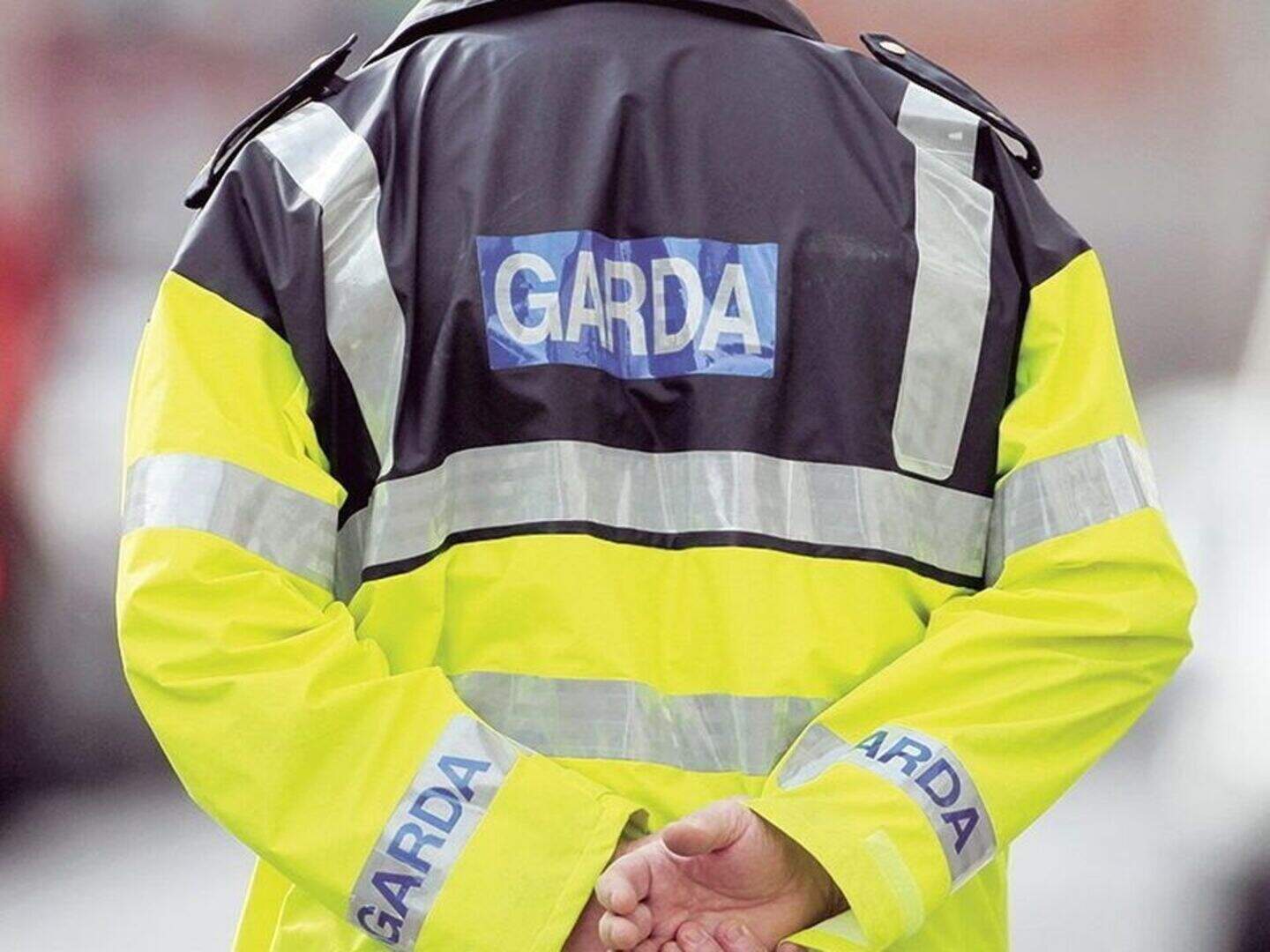 Man (30s) arrested after garda hit by car while responding to violent ...