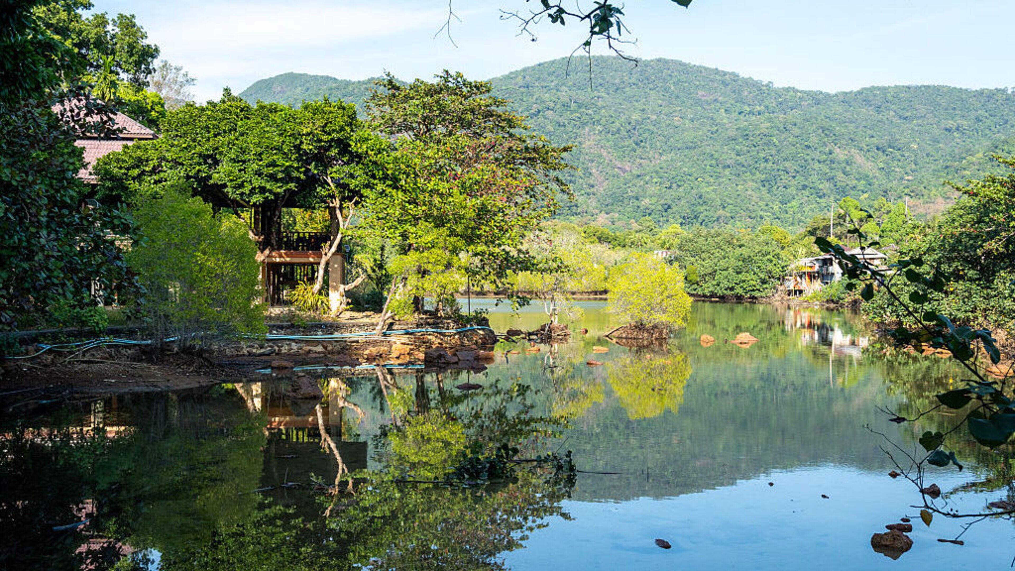 Police launch probe after Irishman (28) found dead in Thailand lagoon 
