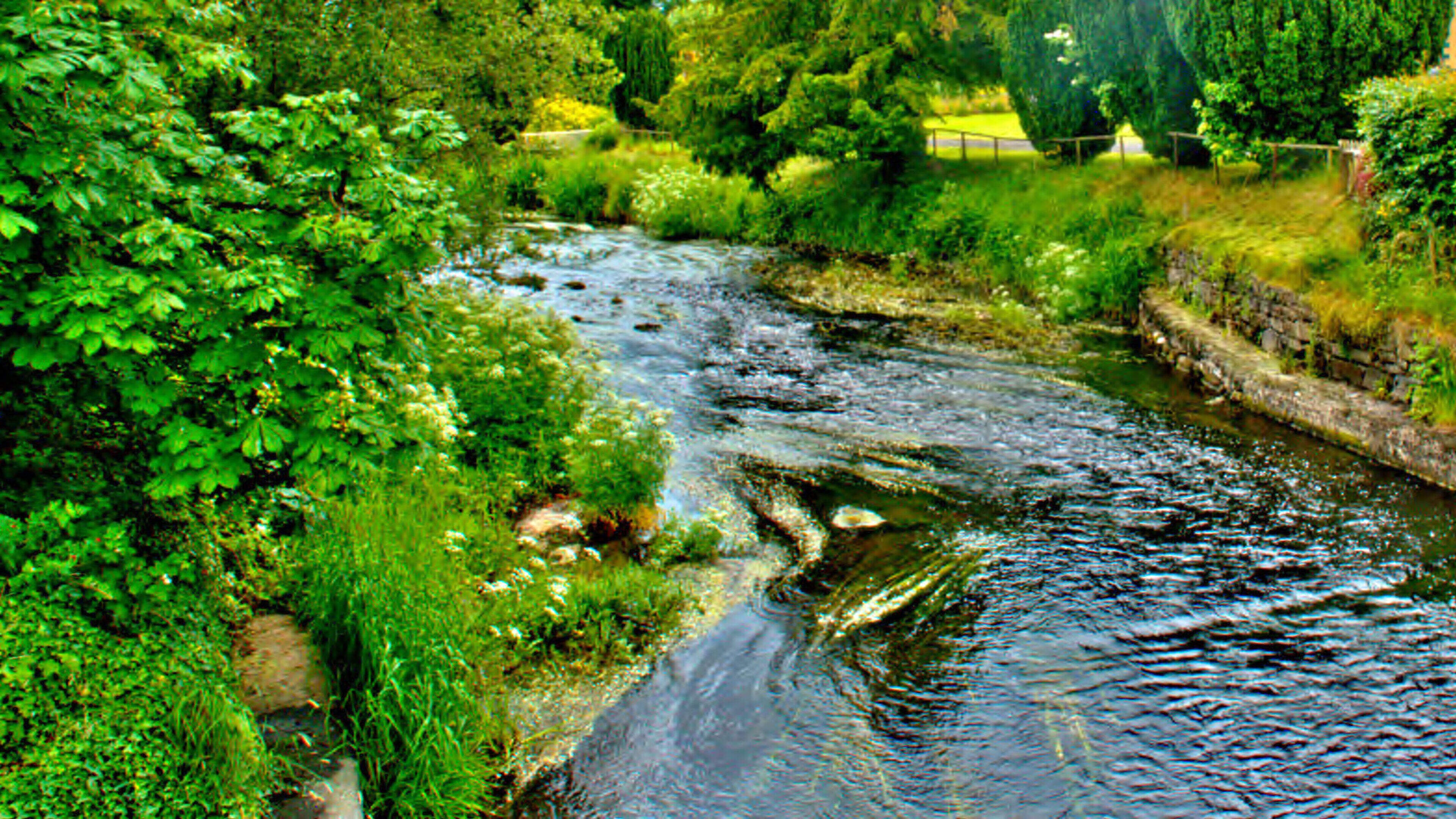 Teenage car thief escaped Gardai by swimming across river after ‘crime spree’