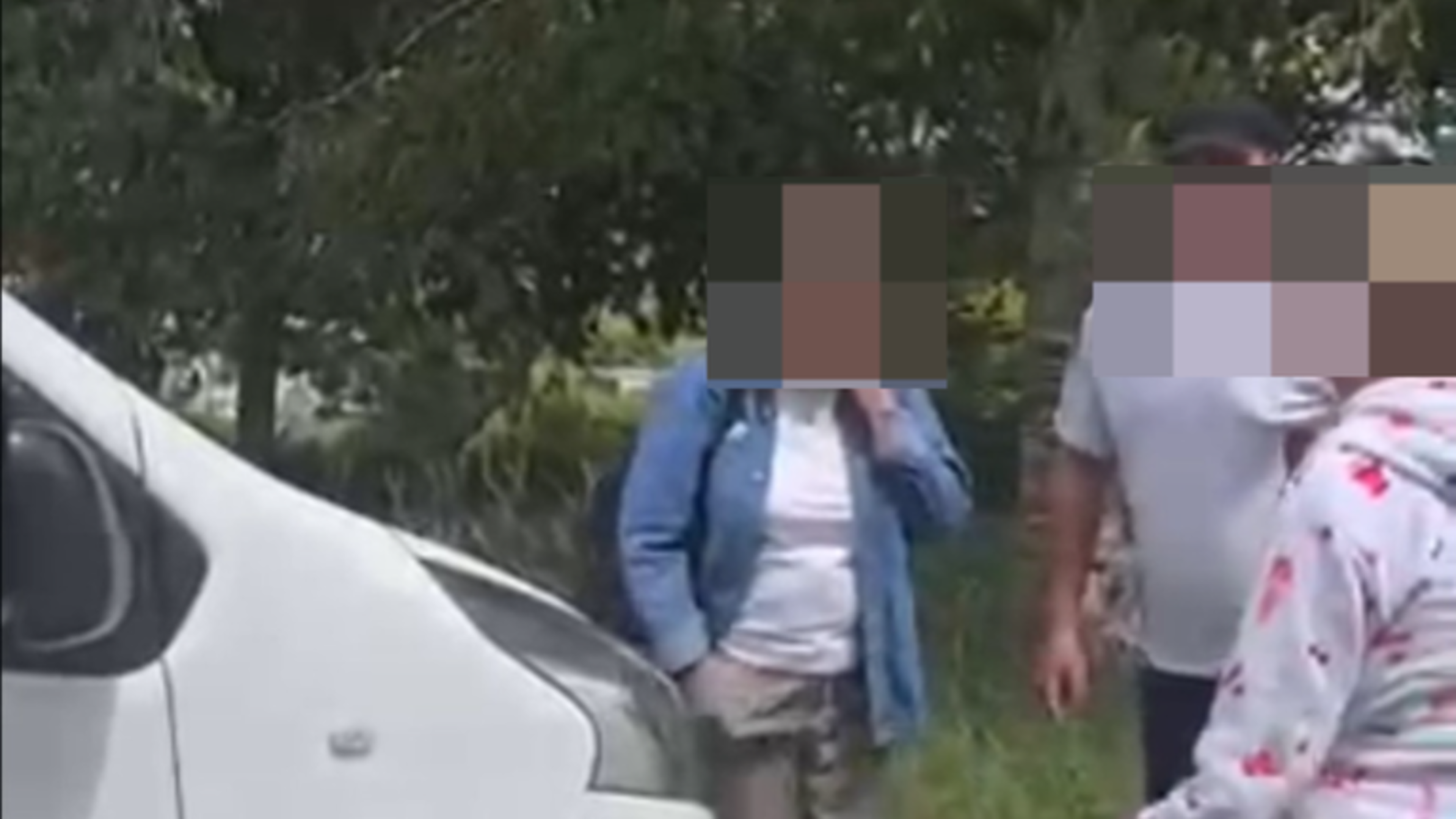 Irish Traveller involved in dramatic public clash in UK park
