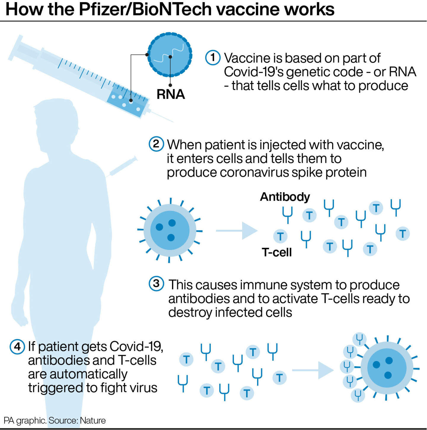 EU regulator gives conditional approval to Pfizer-BioNTech vaccine ...
