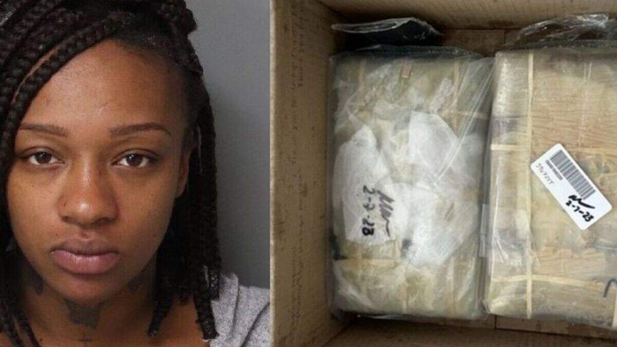 Woman busted after cops say she had cocaine worth €168k shipped to her ...
