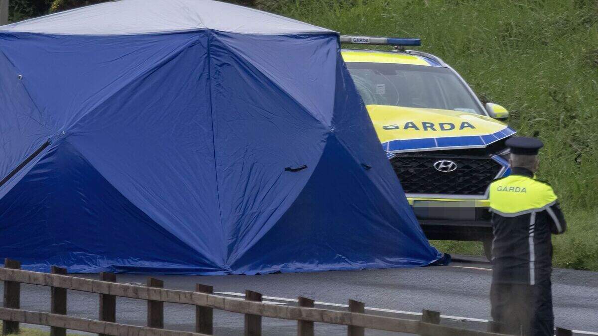 Woman (21) dies after being hit by garda patrol car in Buncrana ...