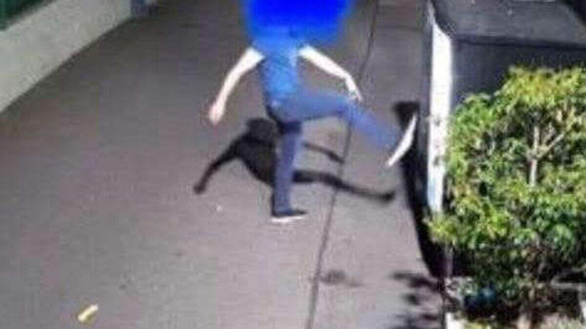 Camera catches man smashing up vending machine in Co Louth | Crime World