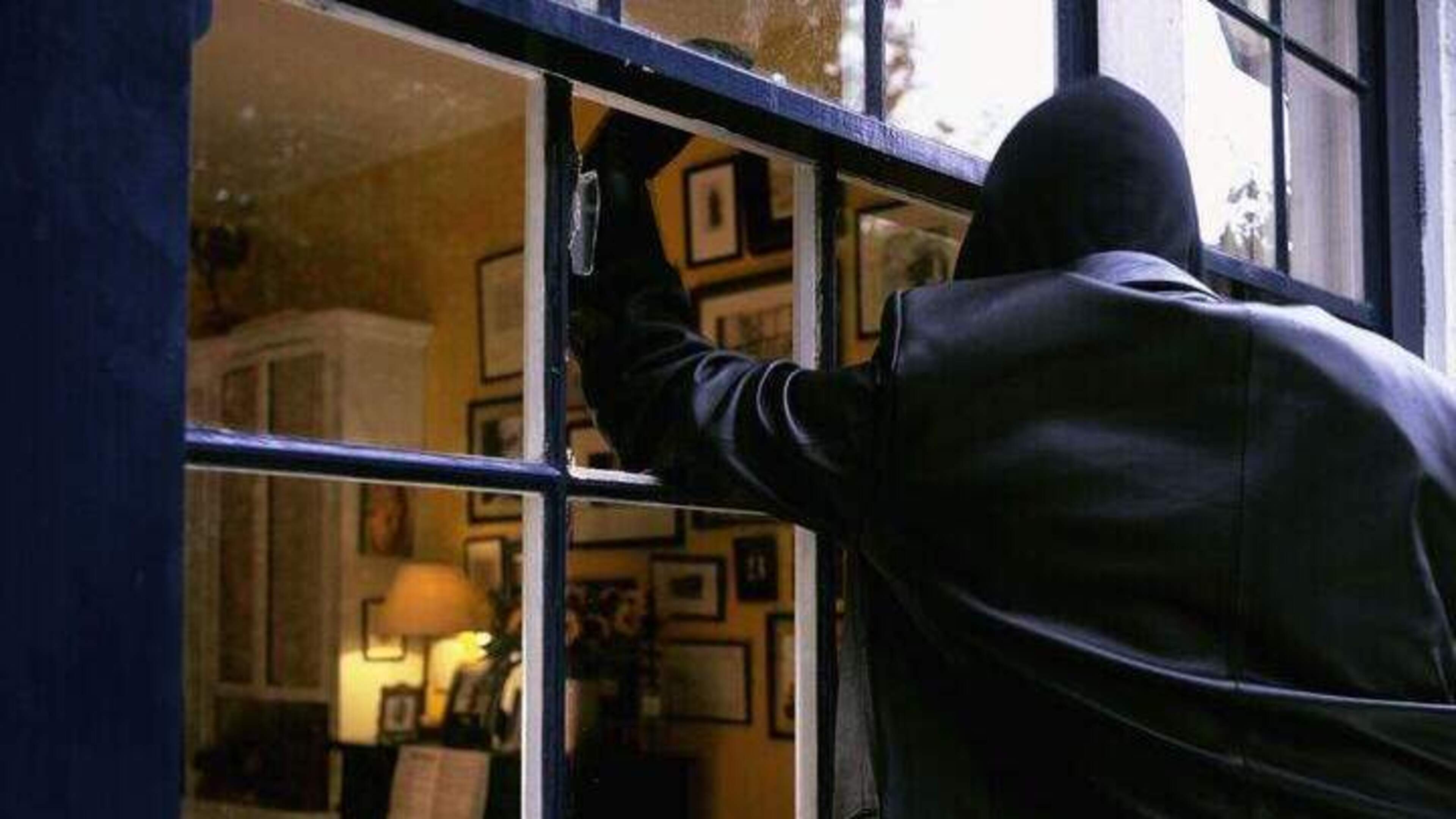 Gardai suspect IRA mobsters behind two terrifying home invasions where dog attacked with axe
