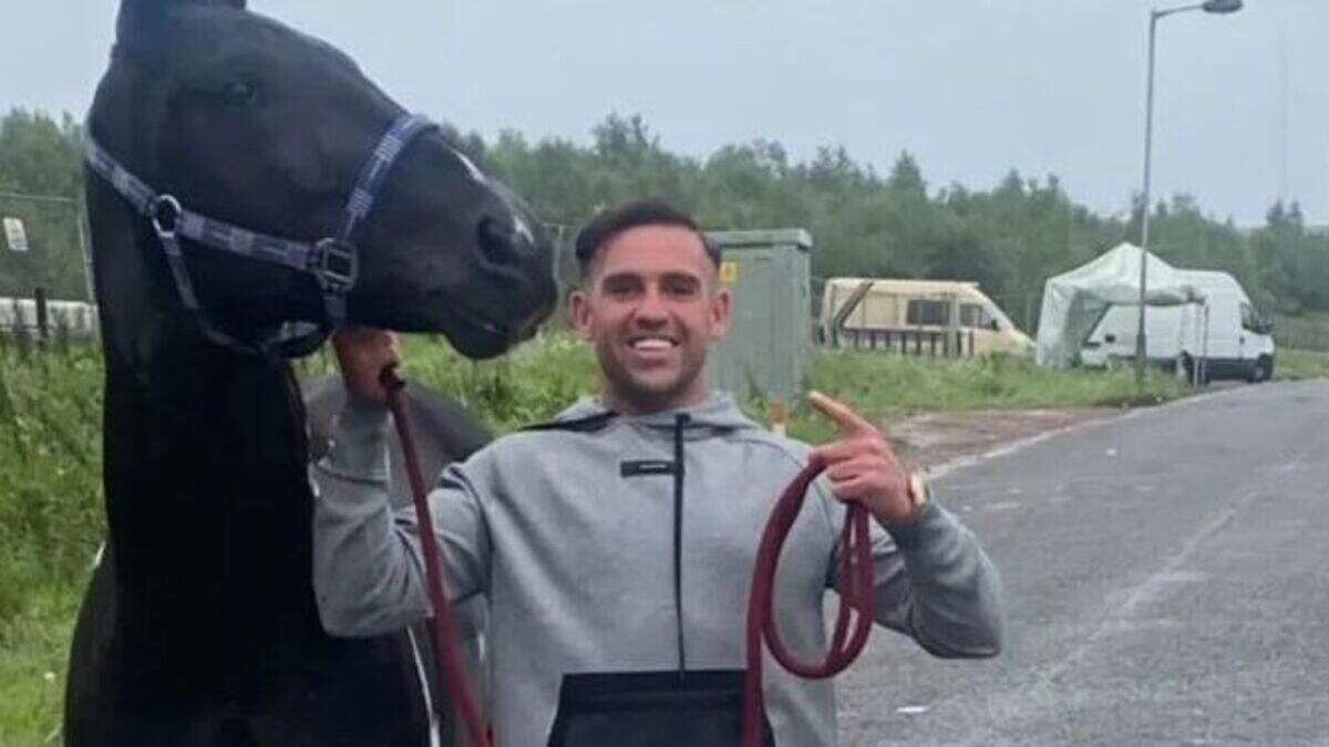 Notorious drug dealer tried to flog his sulky race horses weeks before ...