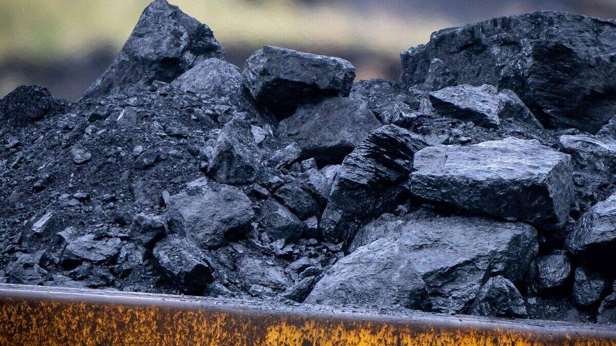 Patrick Doherty: Coal merchant who threatened council official ordered ...