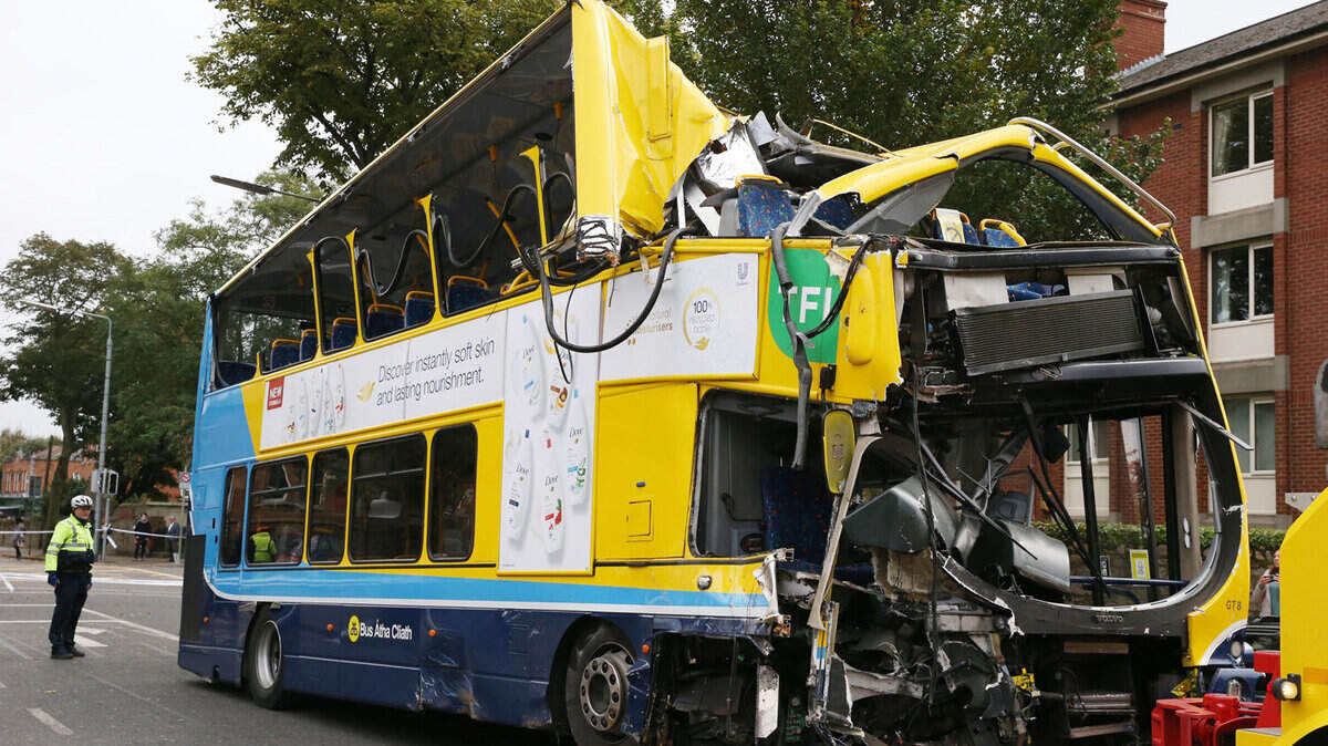 Motorist who smashed into D4 bus at high speed was already banned ...