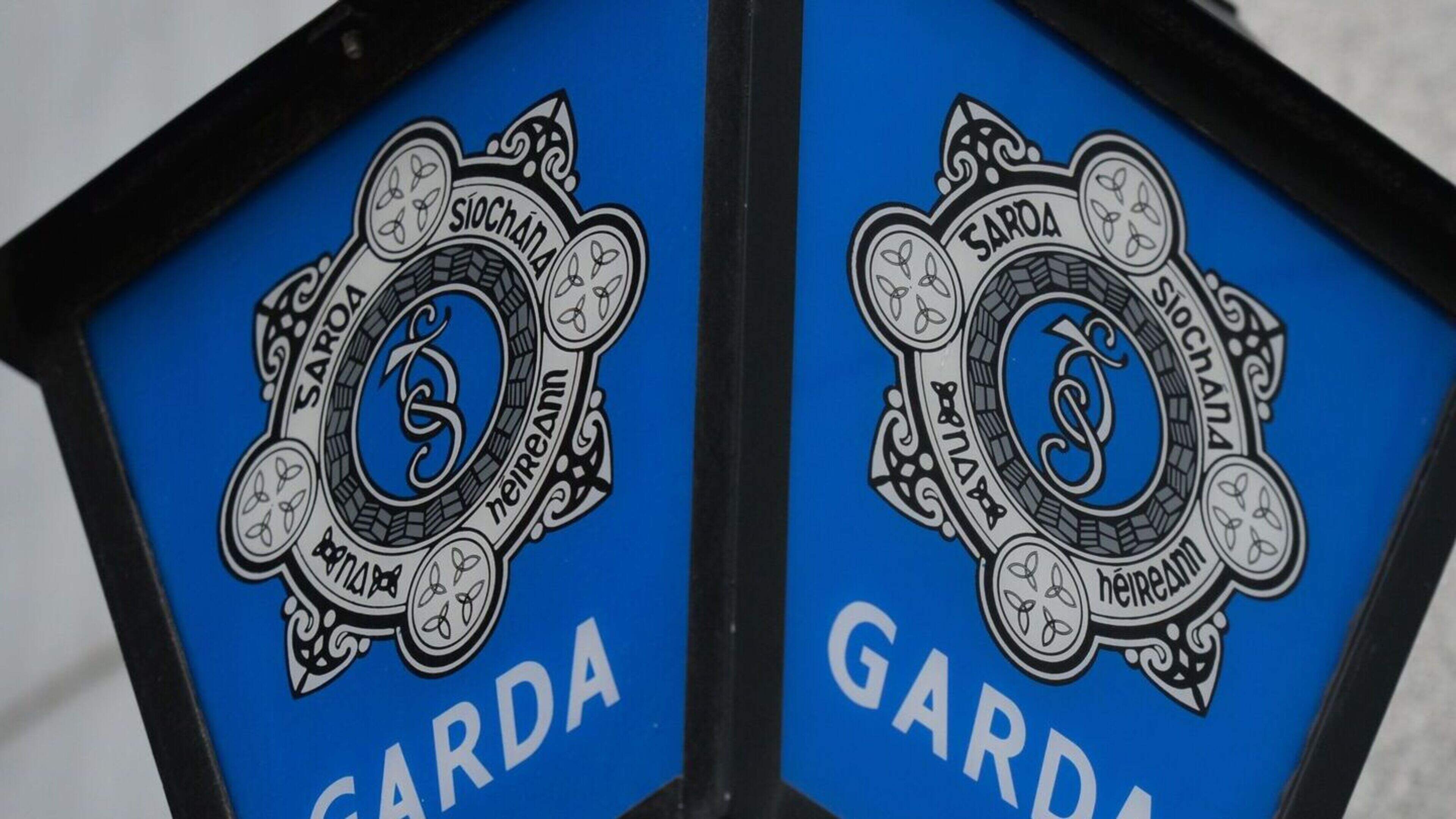 Woman charged and man arrested over assault of two gardaí