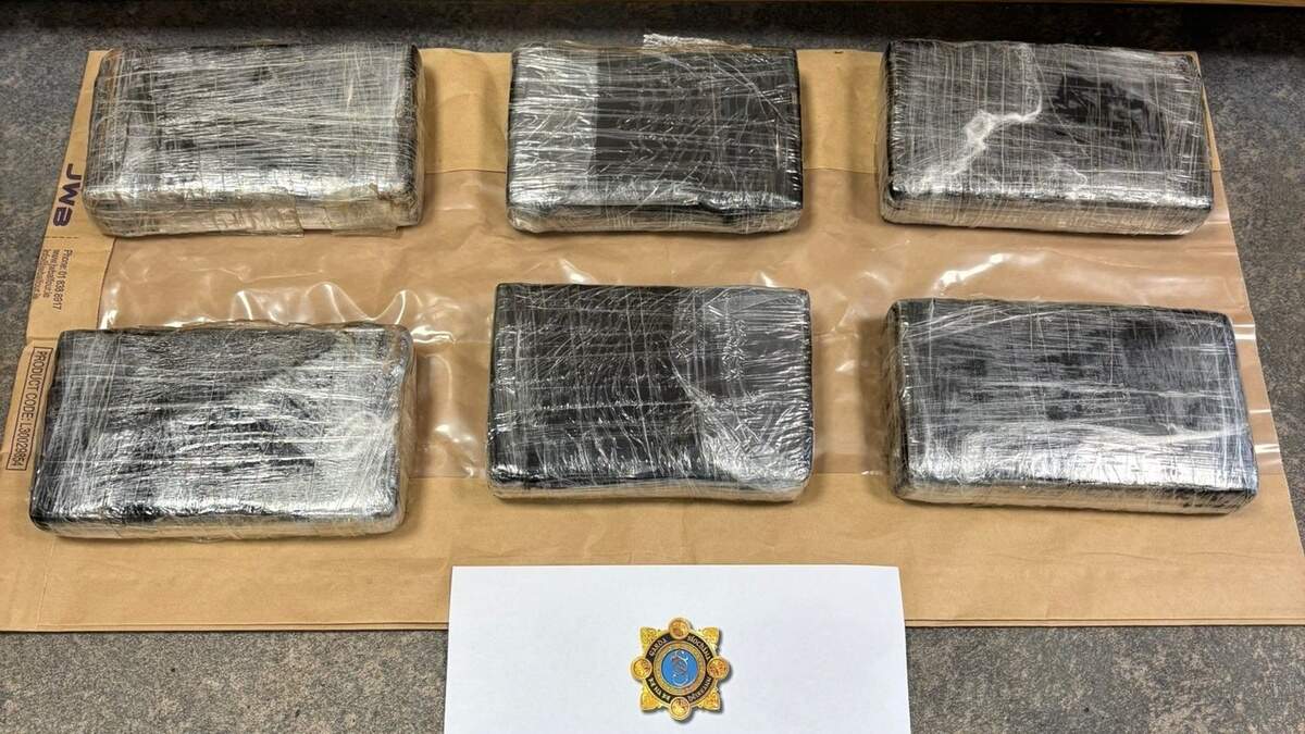 Woman (70s) arrested after more than €400k worth of cocaine seized by ...