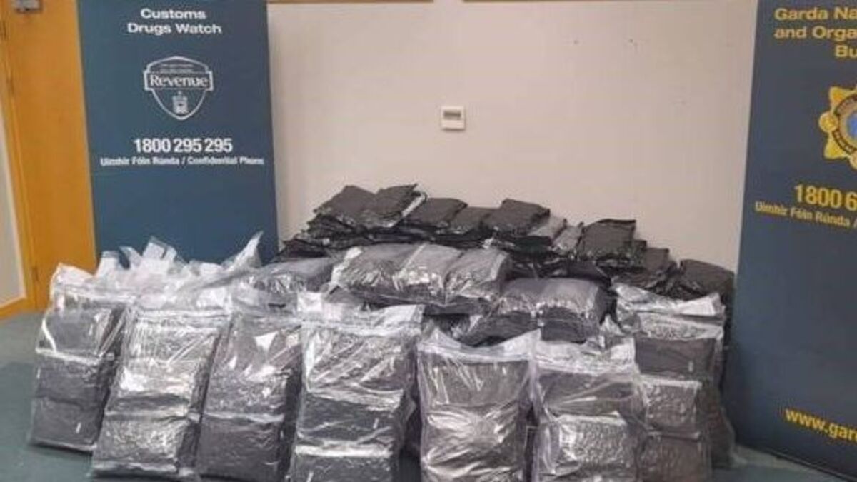 Four men arrested as €4.4m of cannabis seized in Dublin and Kildare ...