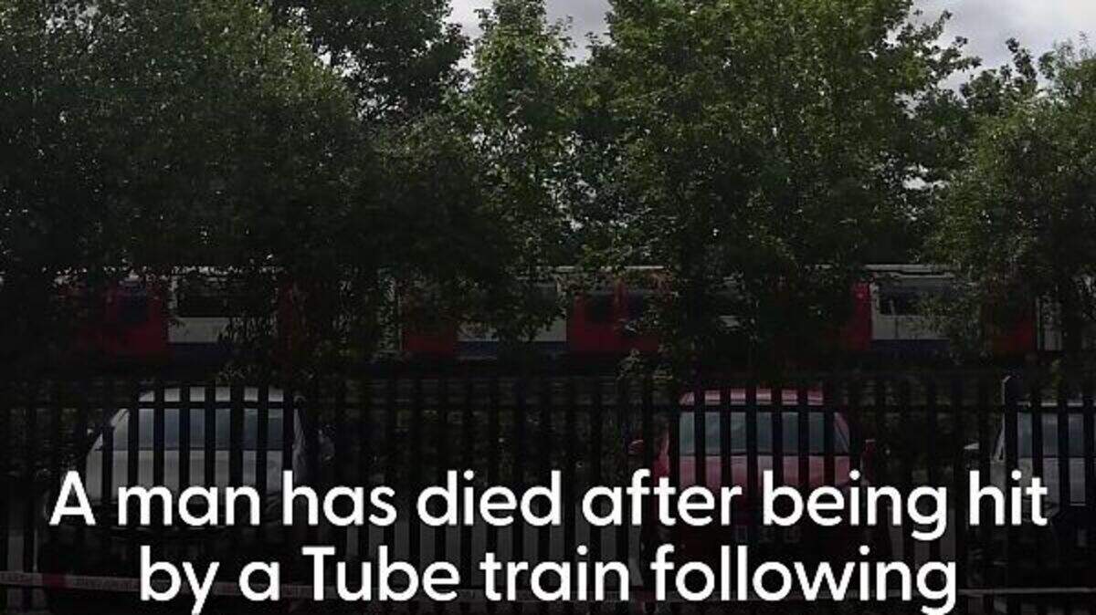 Man dies after being hit by Tube train following police chase | Crime World