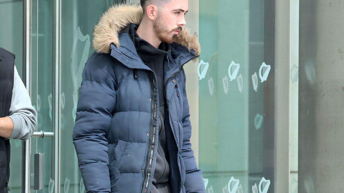 John Stokes: Dublin learner driver admits to careless driving that left ...