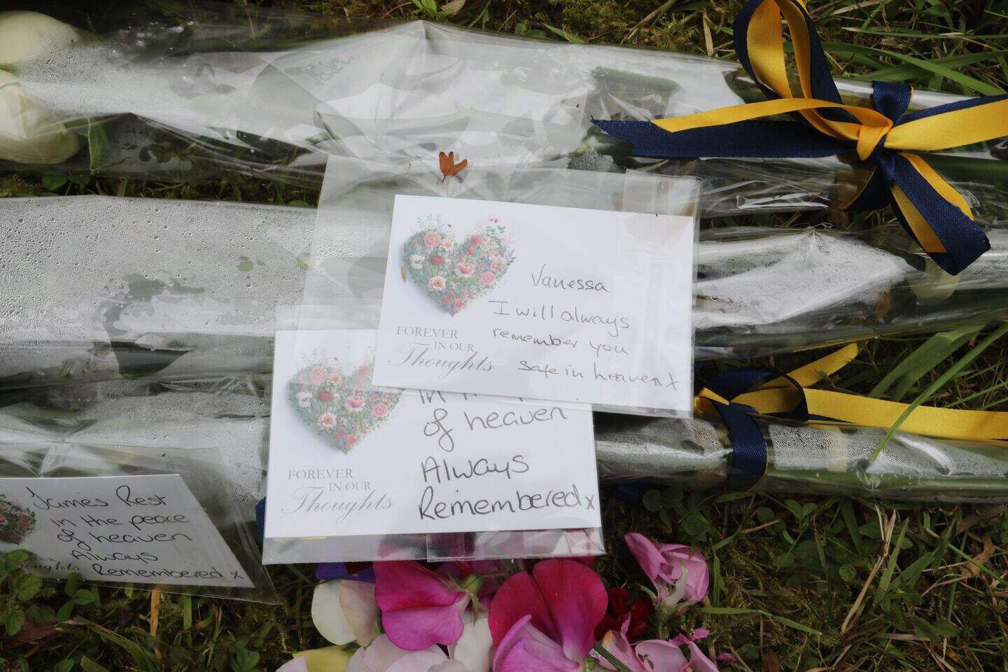Ian Rutledge suspected of shooting wife Vanessa Whyte and children Sara ...