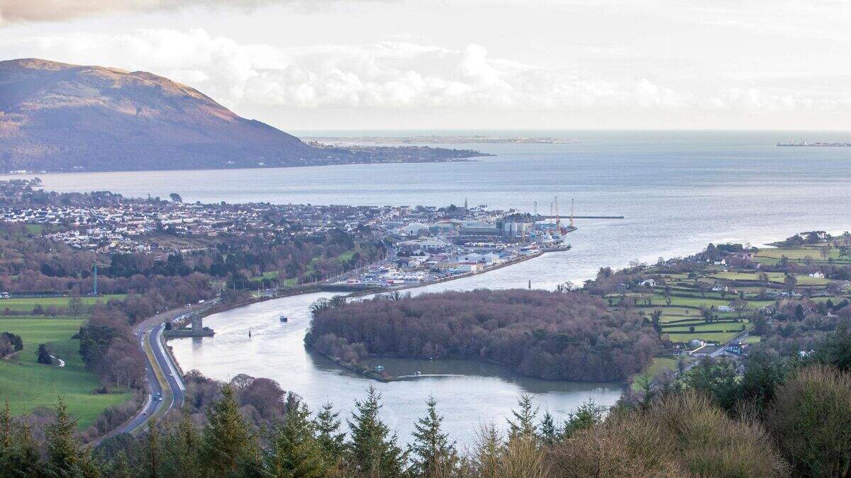 Rostrevor Road, Warrenpoint: ‘Distressing’ scenes as body found on Co ...