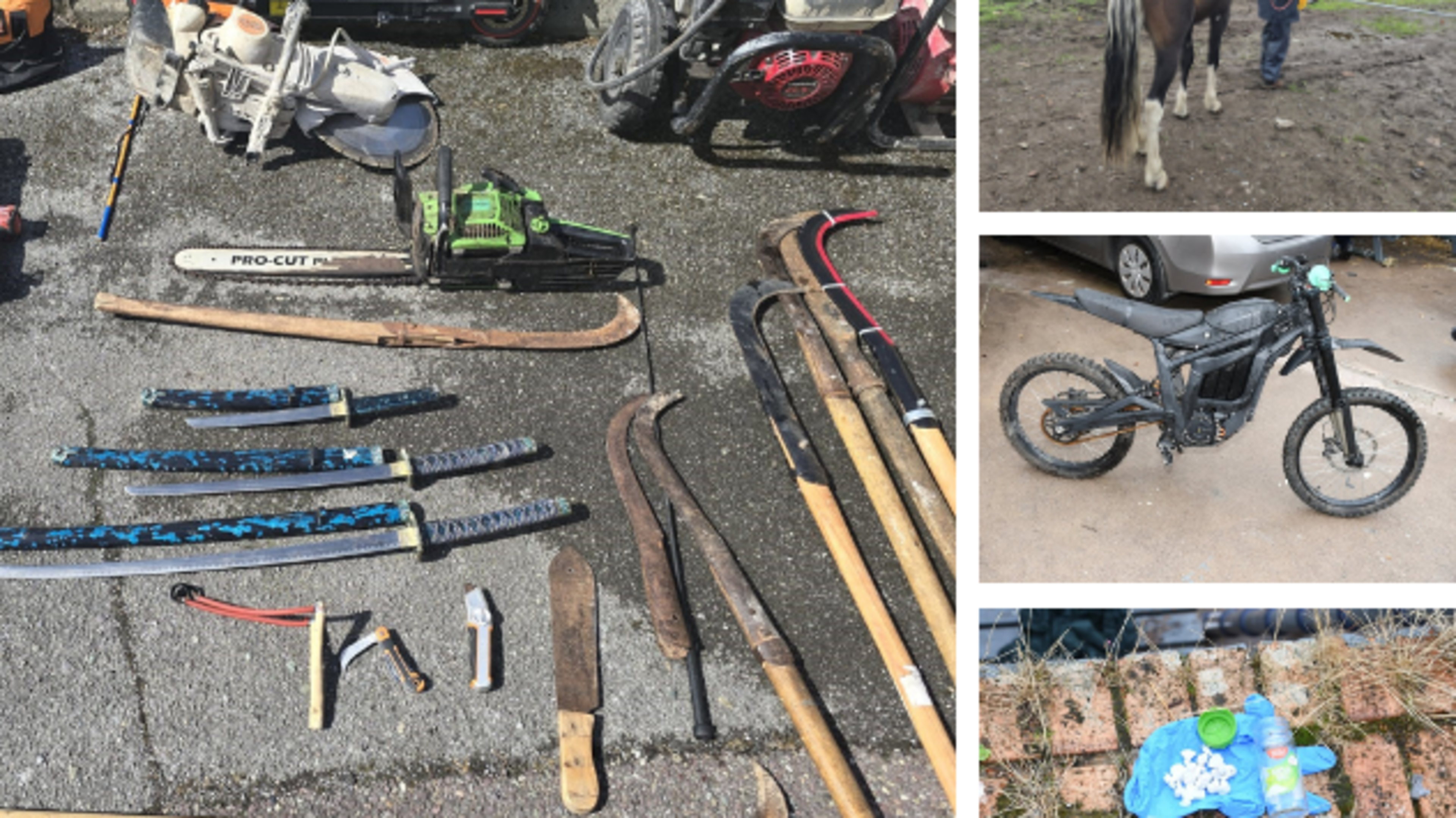 Male (20s) arrested as gardaí seize cash, drugs, weapons and animals in crime gang raid