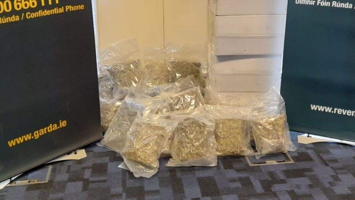 Herbal cannabis worth €400k seized in operation targeting West Dublin ...