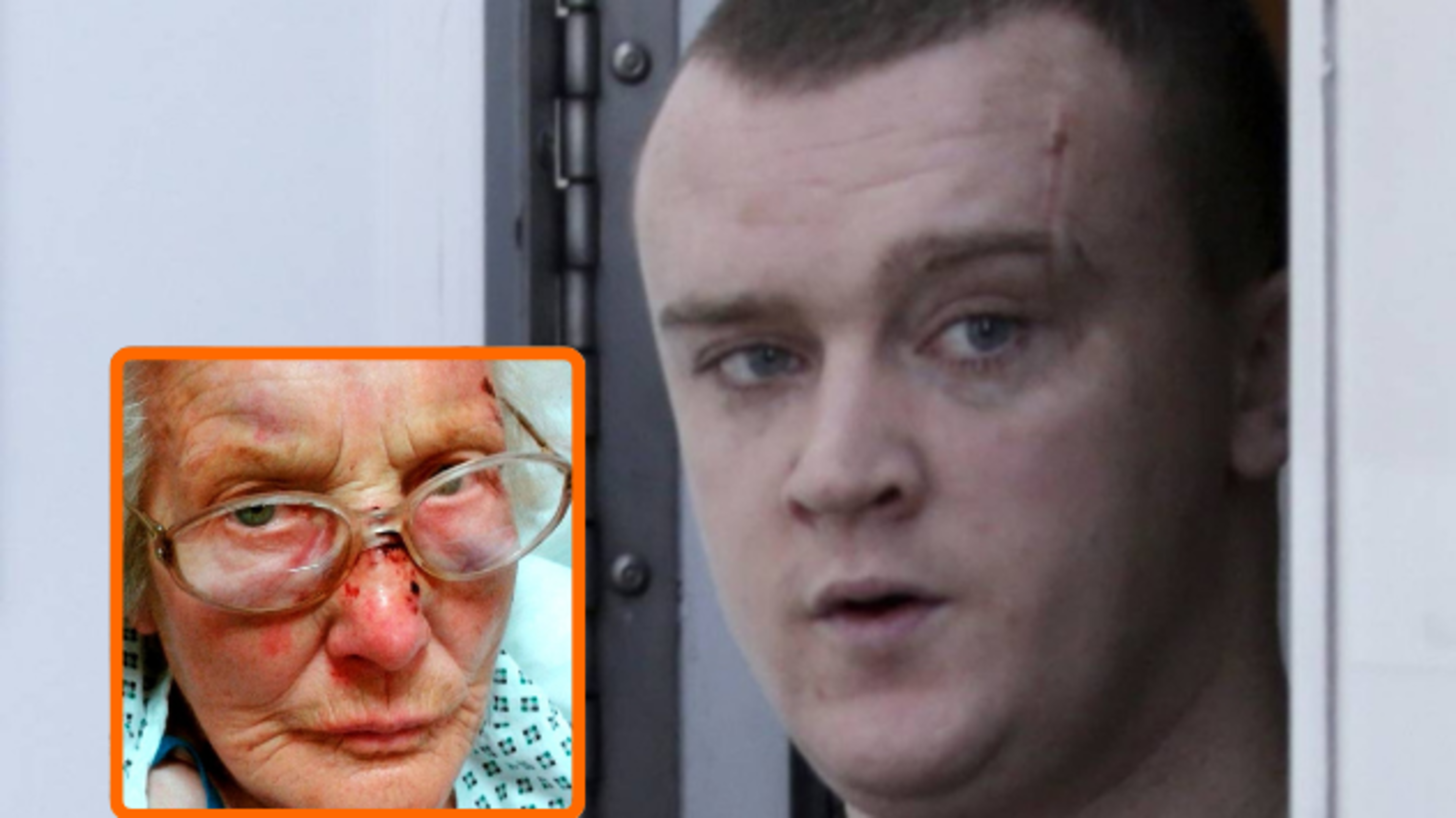 Thug jailed for robbing Dublin restaurant is notorious burglar who took part in horror attack on woman (89)