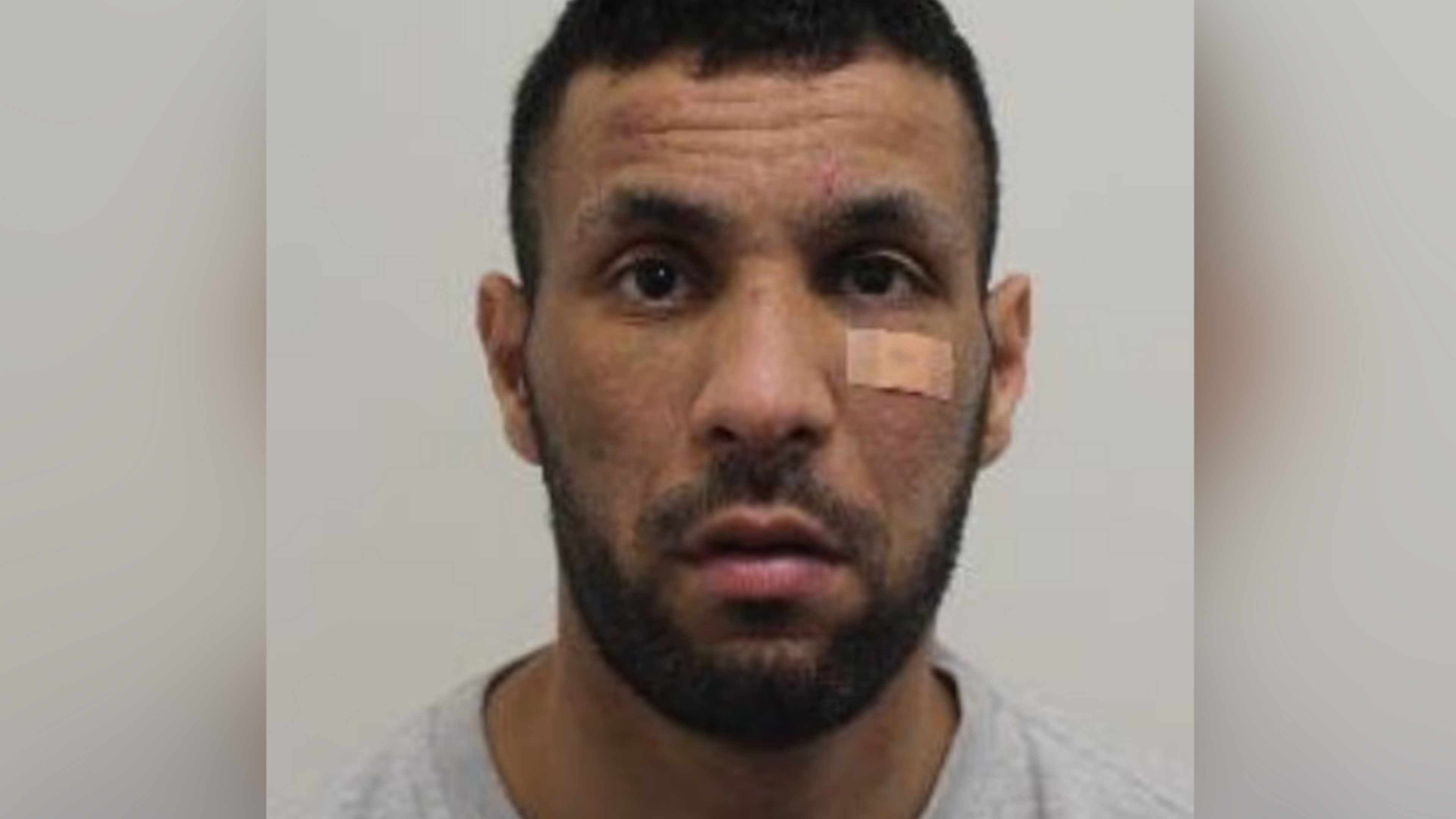 Brazen bag snatcher who stole €2.3m Faberge egg from Irish whiskey chief to be sentenced