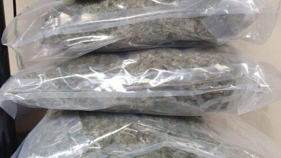 Man (40s) charged after €70k worth of suspected cannabis seized in ...