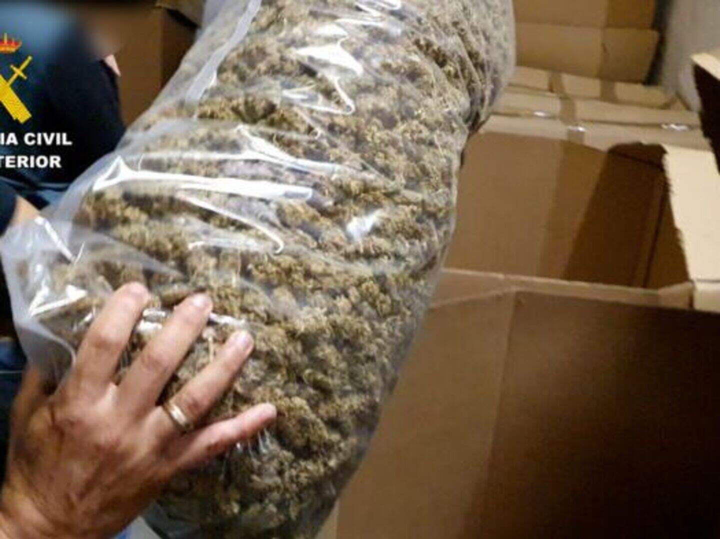 Police seizure of 32 tons of cannabis in Spain breaks all European ...