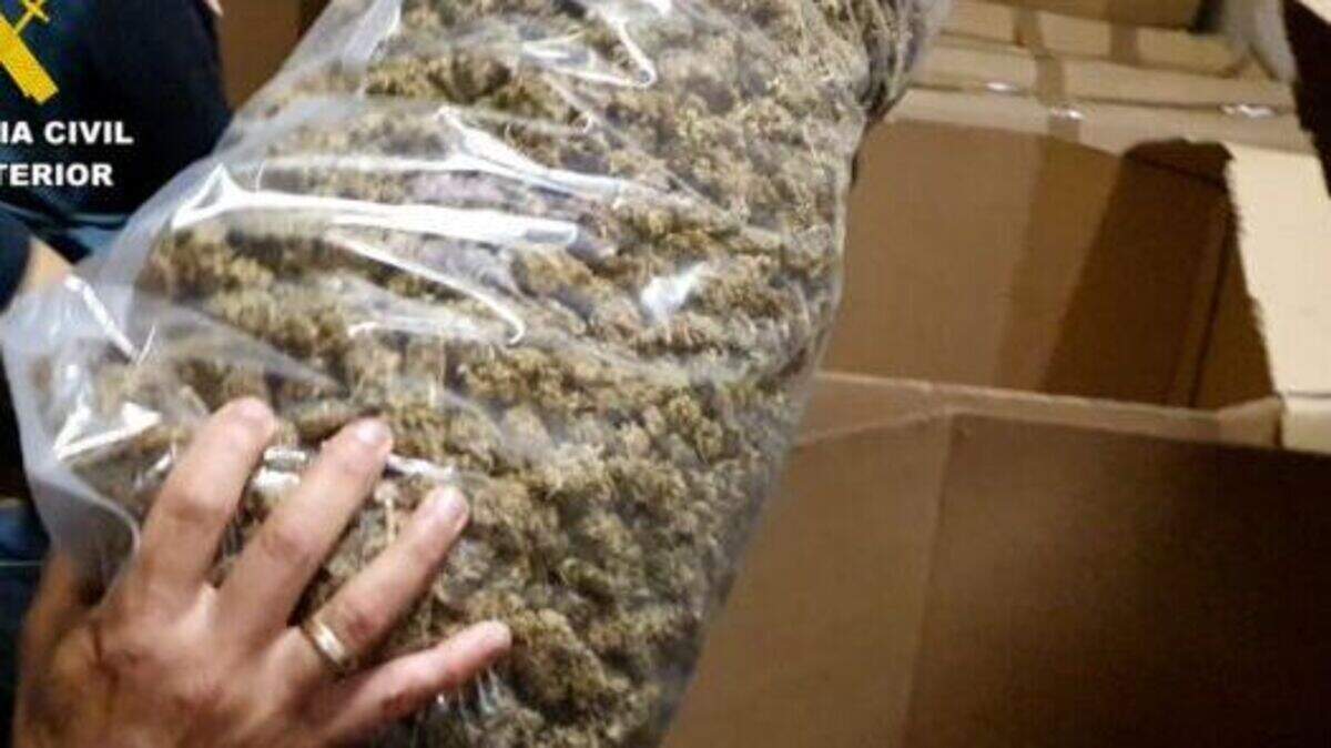 Police seizure of 32 tons of cannabis in Spain breaks all European ...