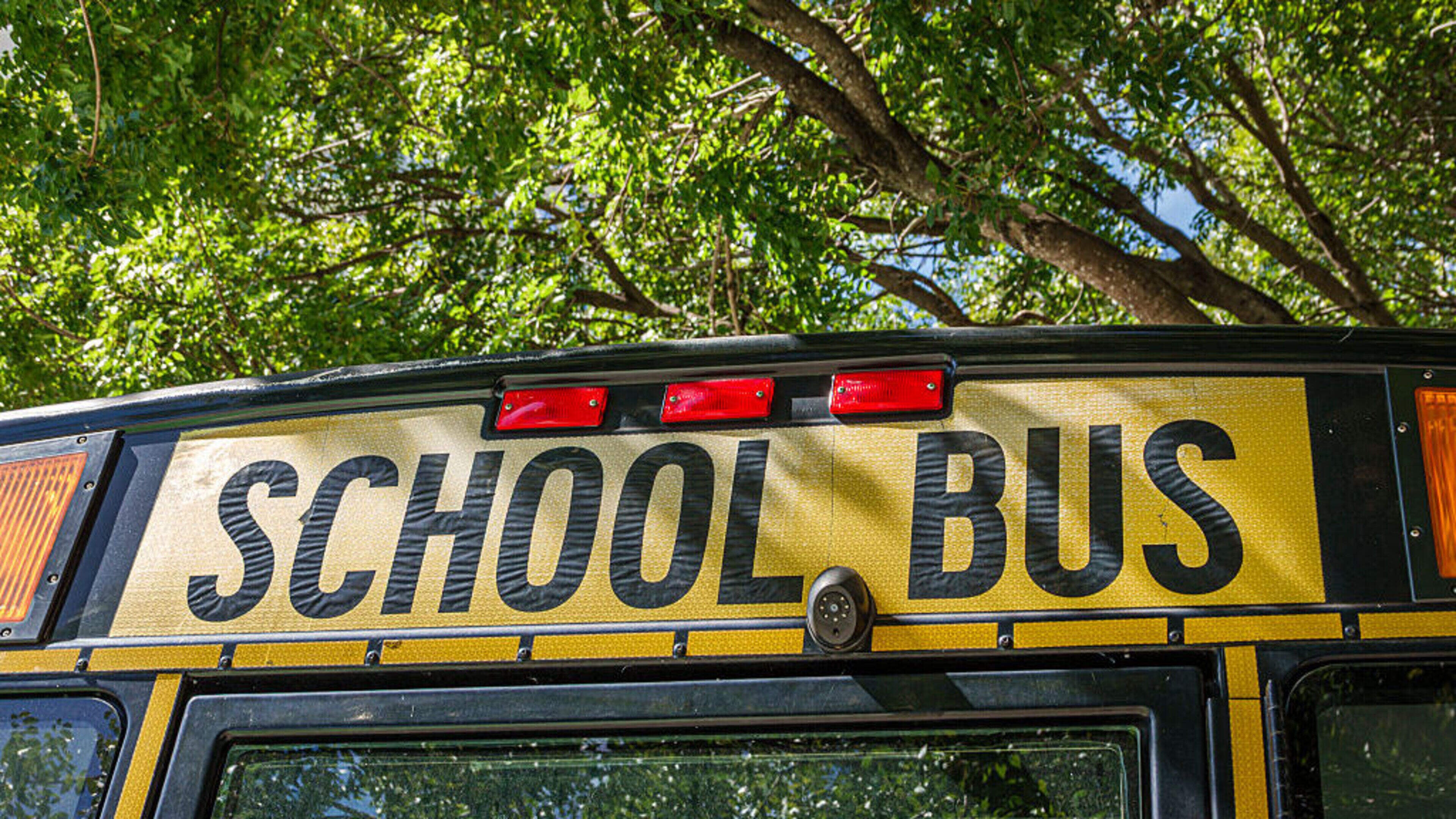 School bus driver who was four times over drink limit with 18 kids on board jailed for ONE day