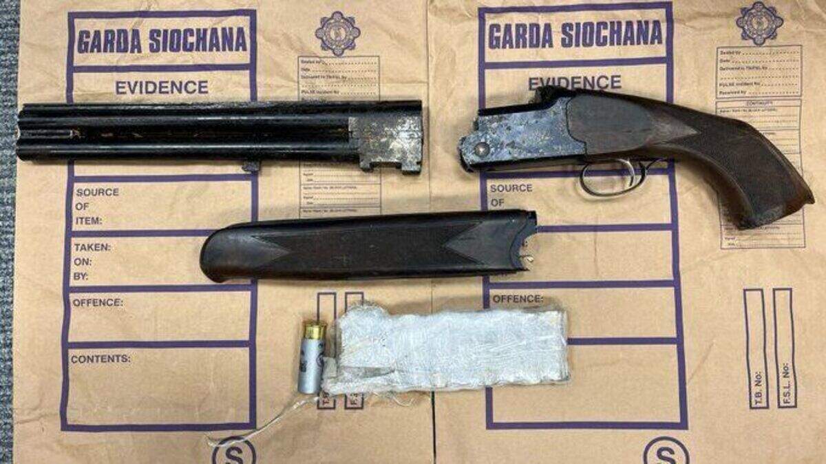 Gardai arrest two after man drops rucksack with saw off shotgun and ...