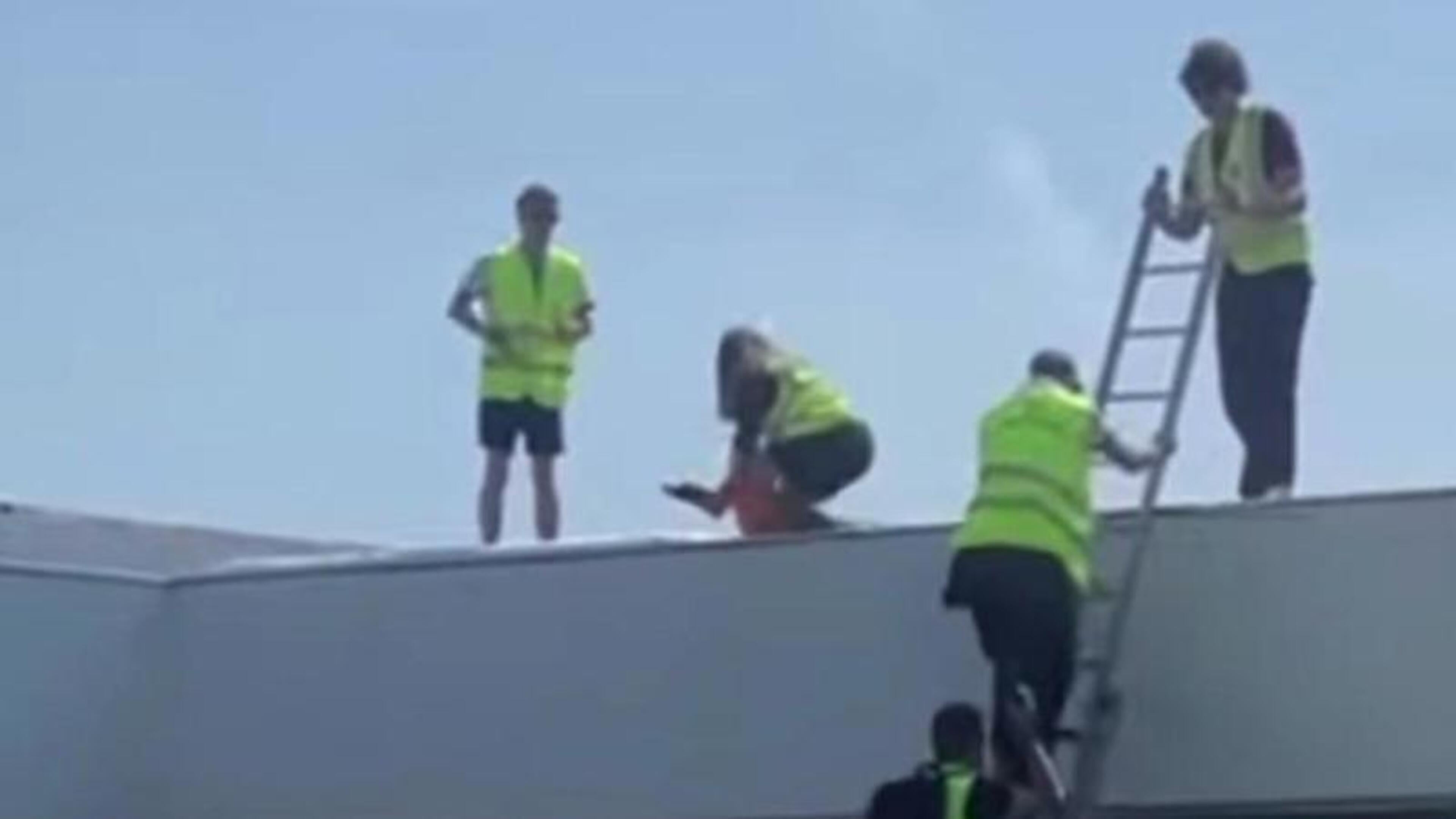 Activists storm FAI HQ and scale the roof to protest Israel fixtures