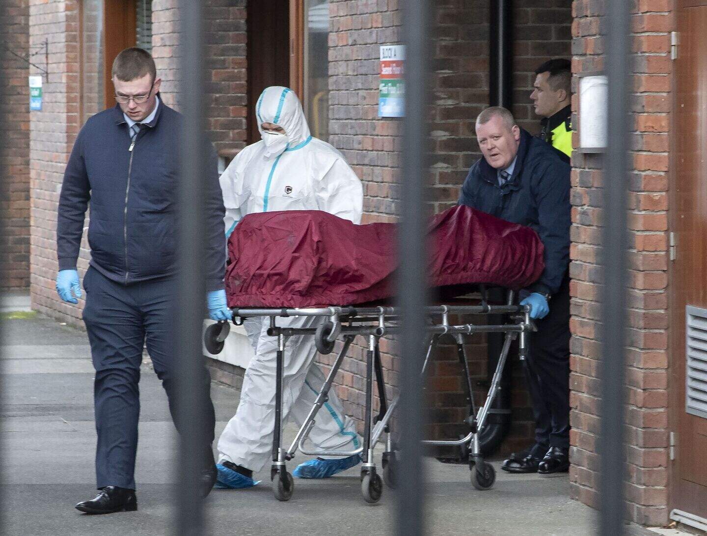 Homeless woman Ann Phelan to face trial accused of stabbing David Ennis ...