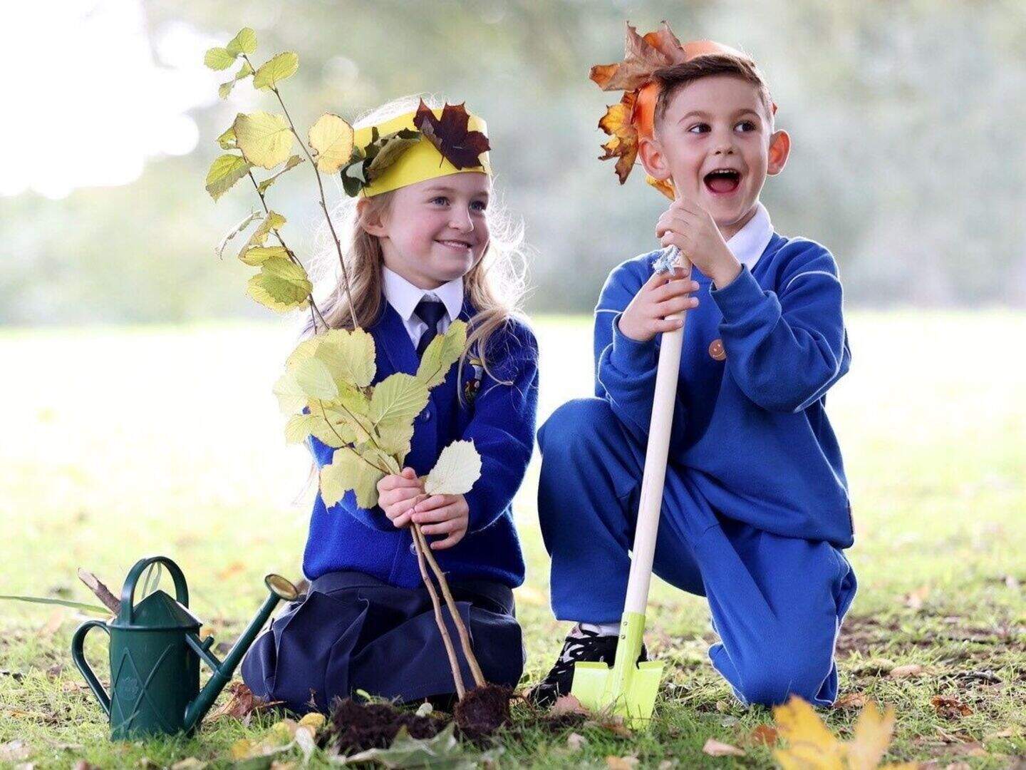 National Tree Day: Kids around Ireland encouraged to ‘plant a tree and ...
