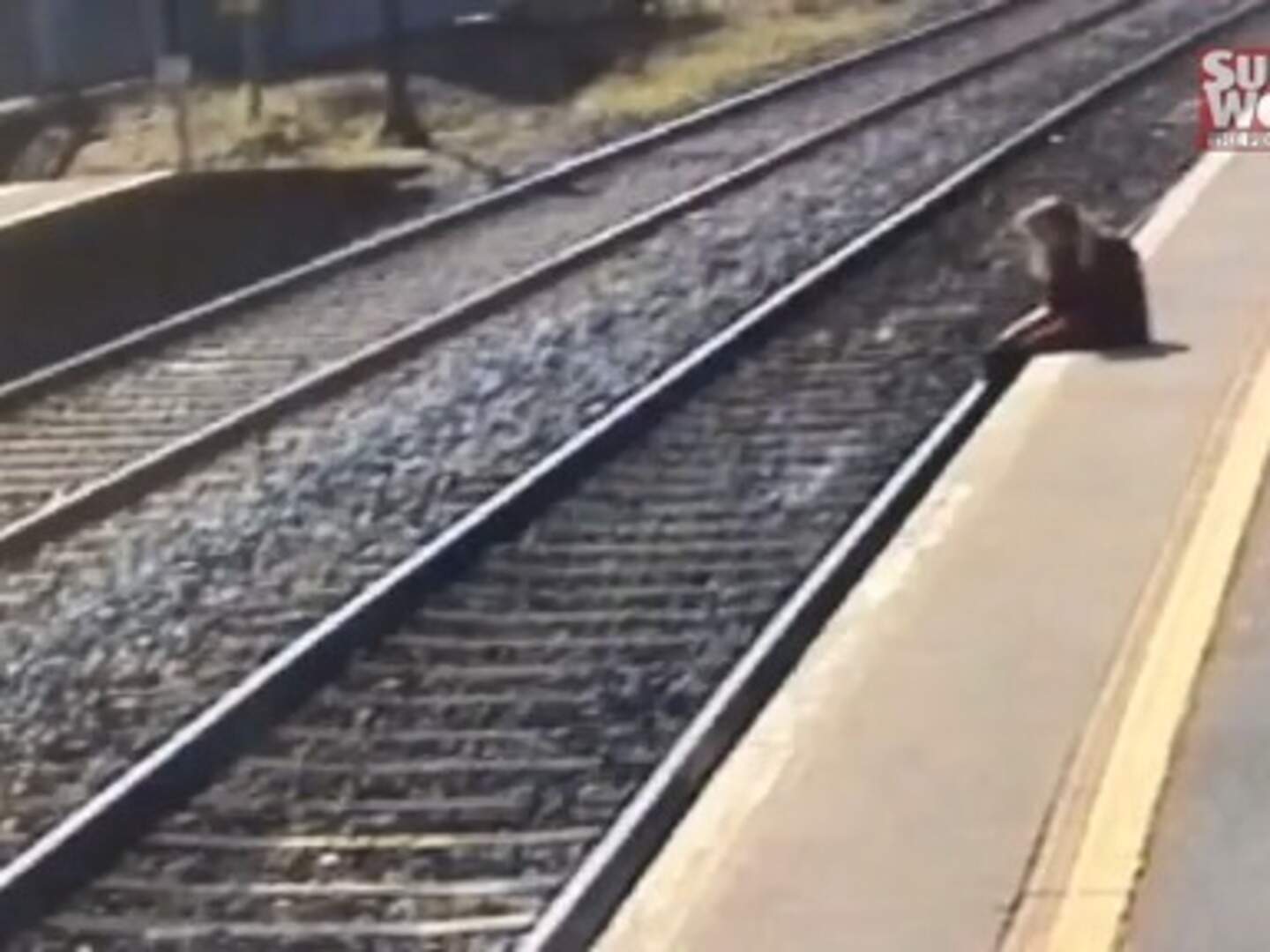 Irish Rail release CCTV of near misses to urge public to stay off ...