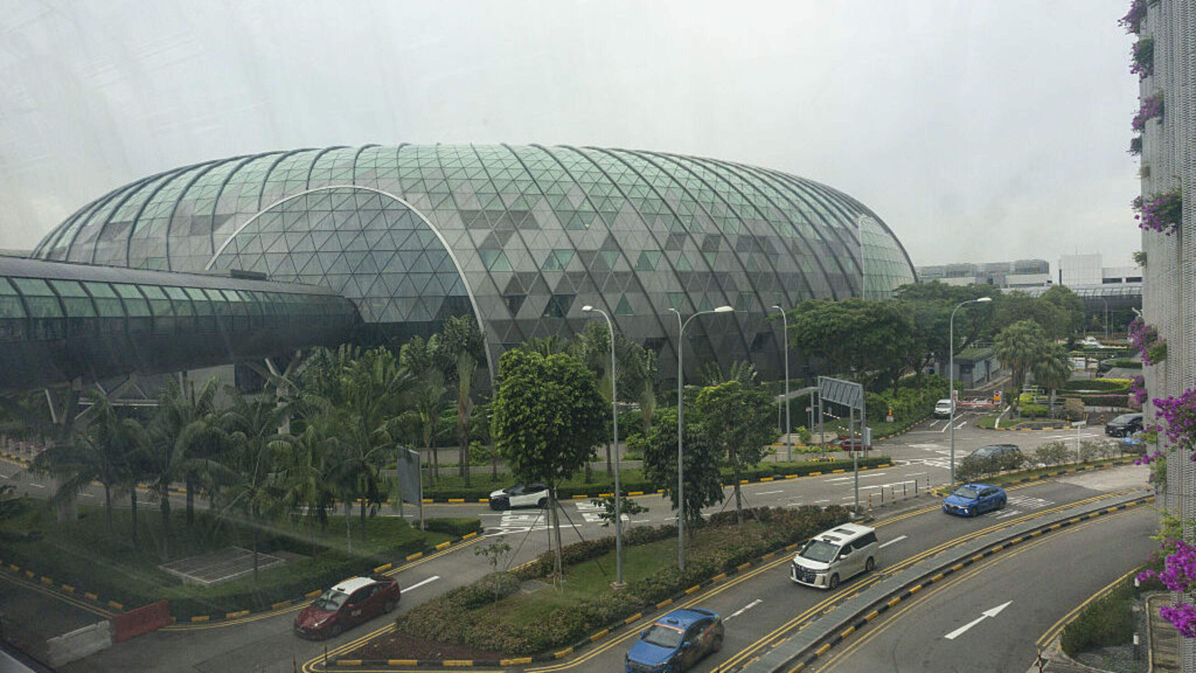 Irish engineer ‘downed five bottles of booze’ and attacked airport manager in Singapore