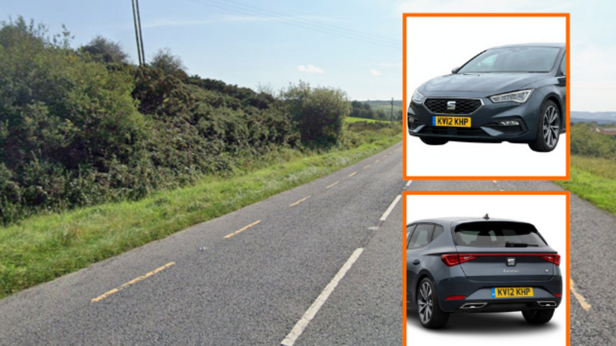 Swedish hitman-for-hire killed in Limerick crash linked to Rathkeale feud