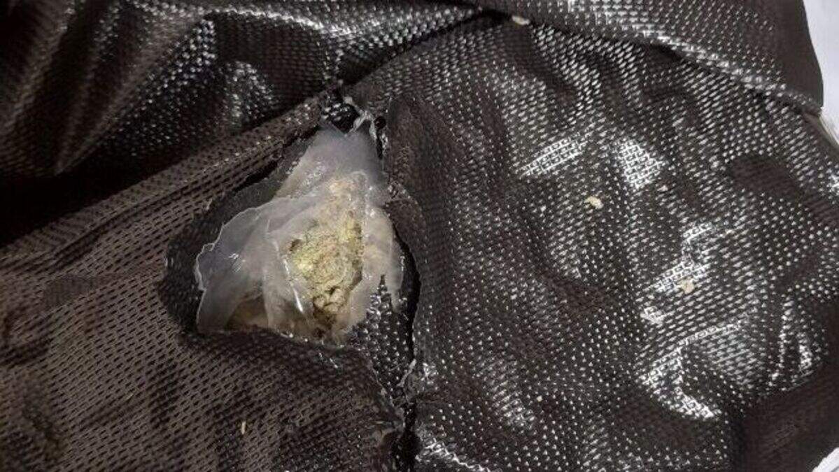 Two people arrested after €100,000 worth of cannabis seized during raid ...