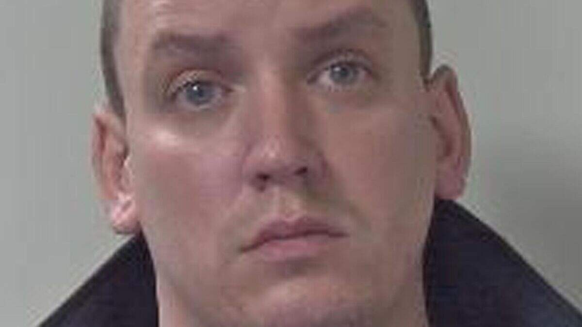 Irish lorry driver jailed for smuggling cocaine worth €567k disguised ...