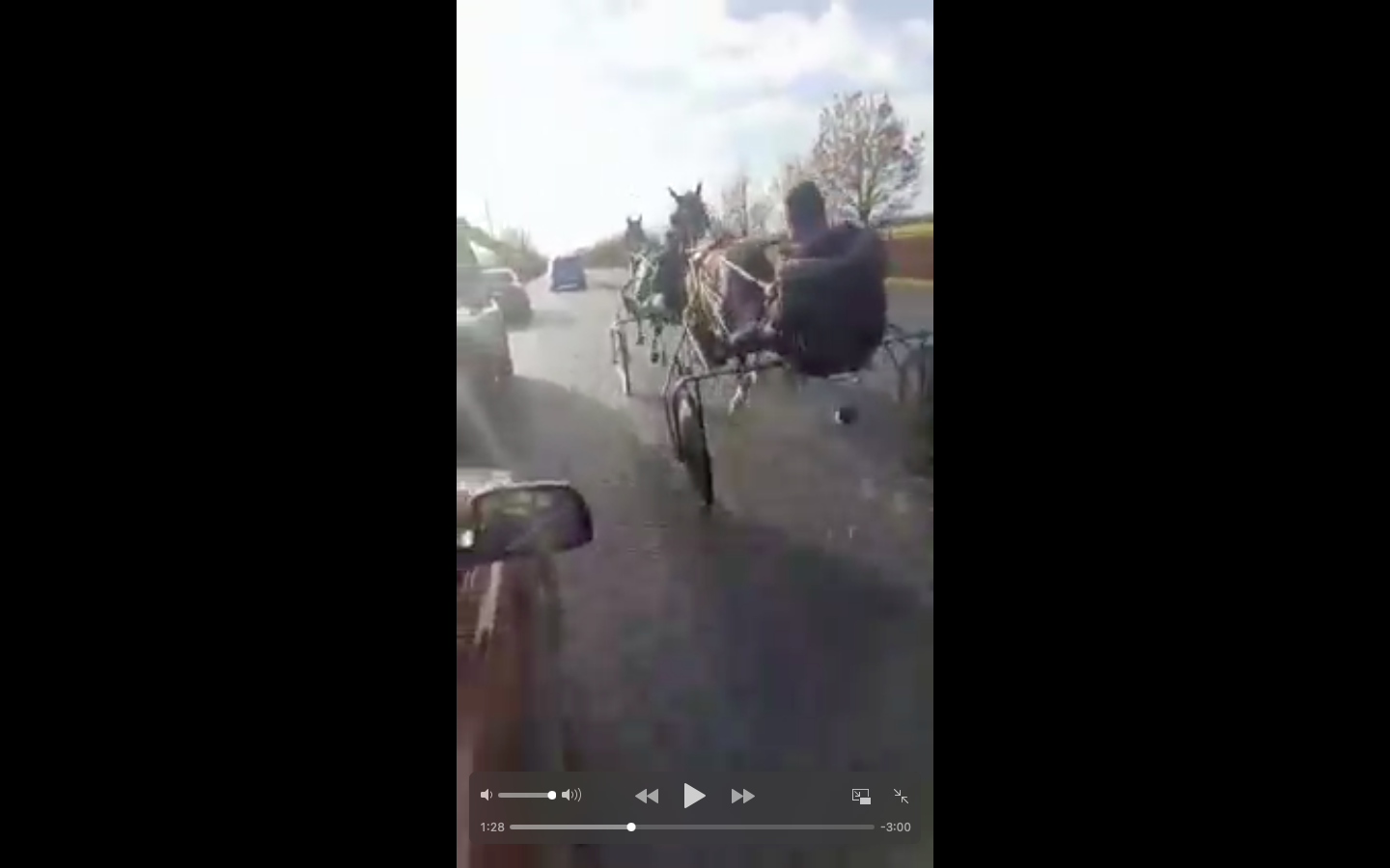 Shocking video shows high-speed sulky race in action in Co Tipperary ...