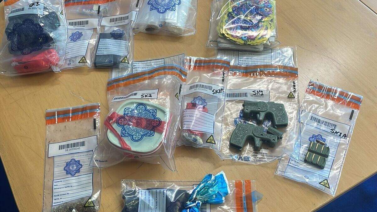 Man (30s) and woman (40s) arrested as gardai seize 3D printed firearms ...