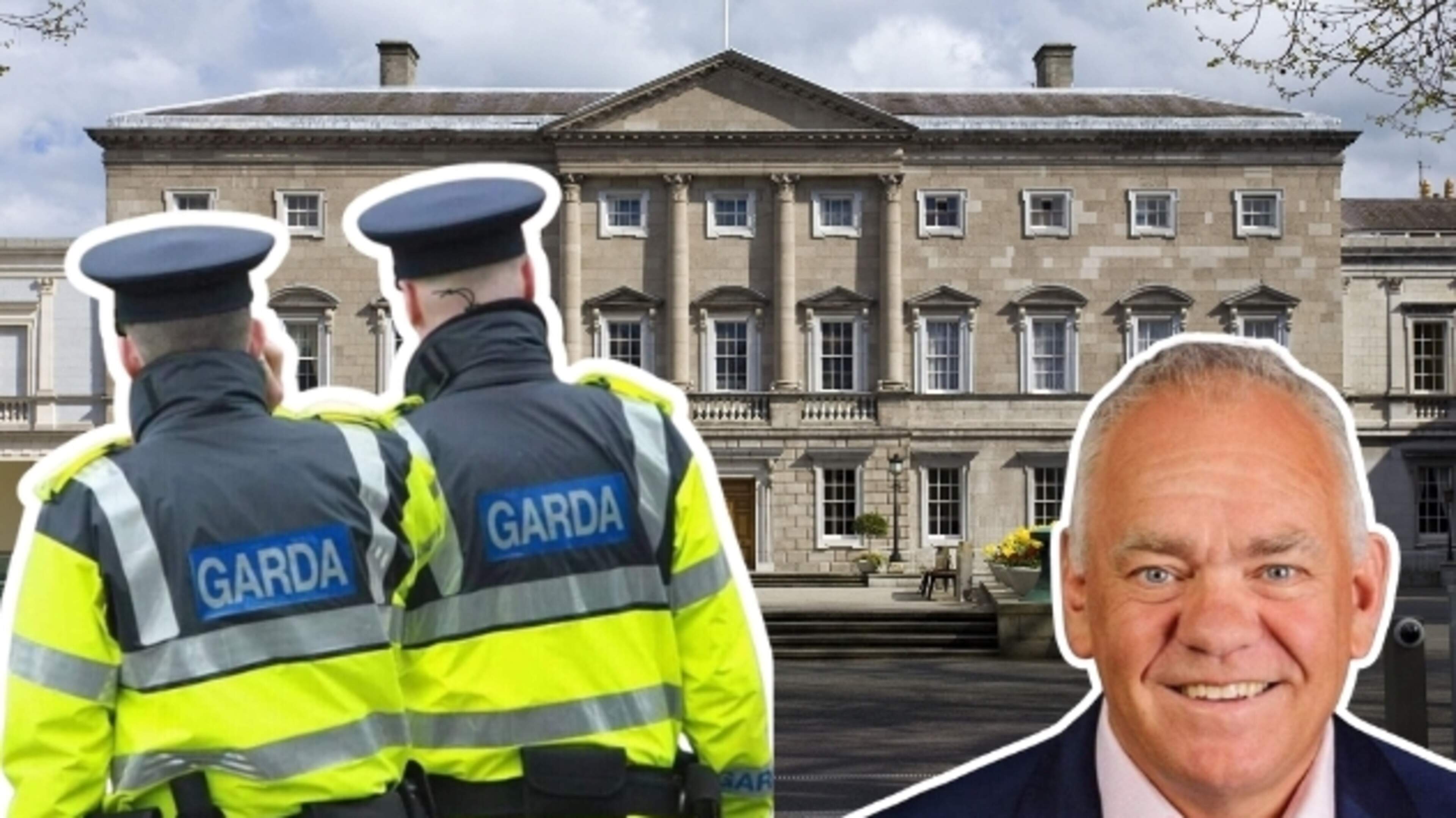 Wicklow-Wexford TD helps gardaí disarm man wielding a knife near Leinster House