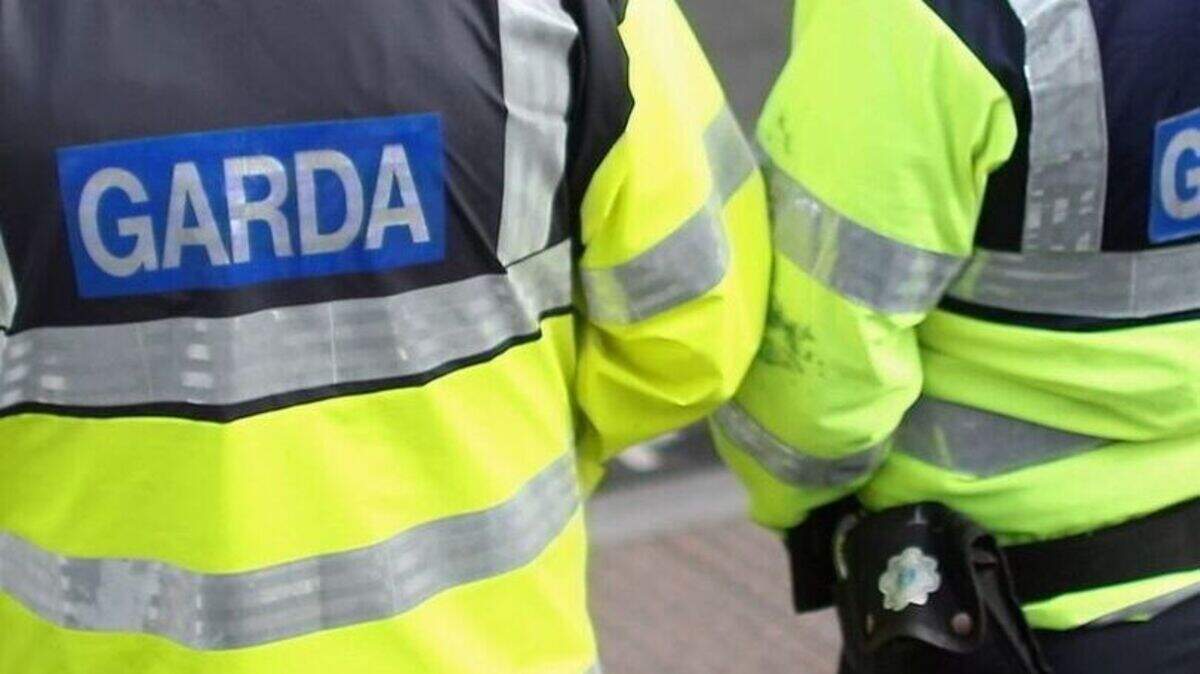 Four arrested and two hospitalised after public order incident in Co Laois